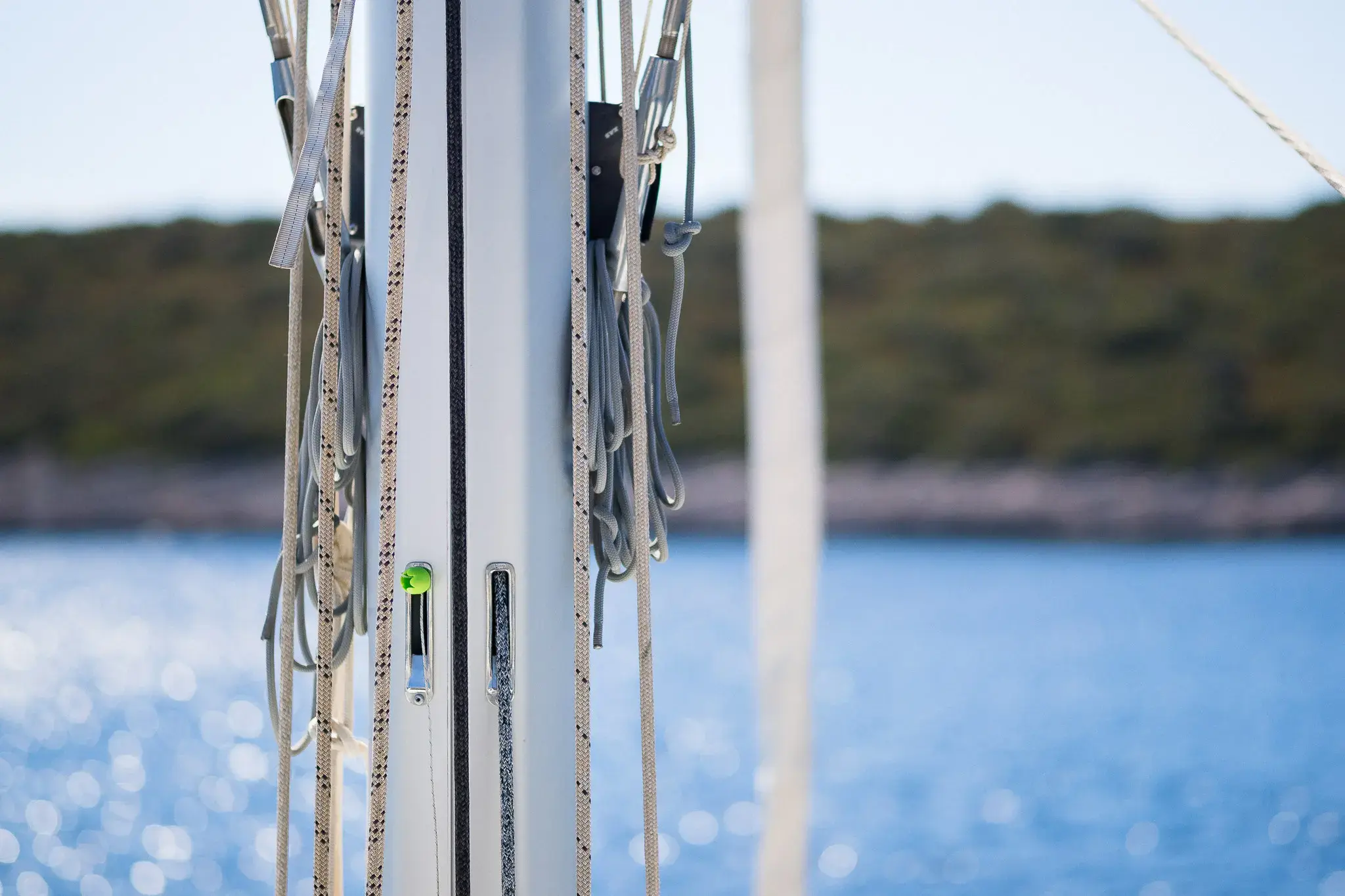 CATWALK thumbnail 18