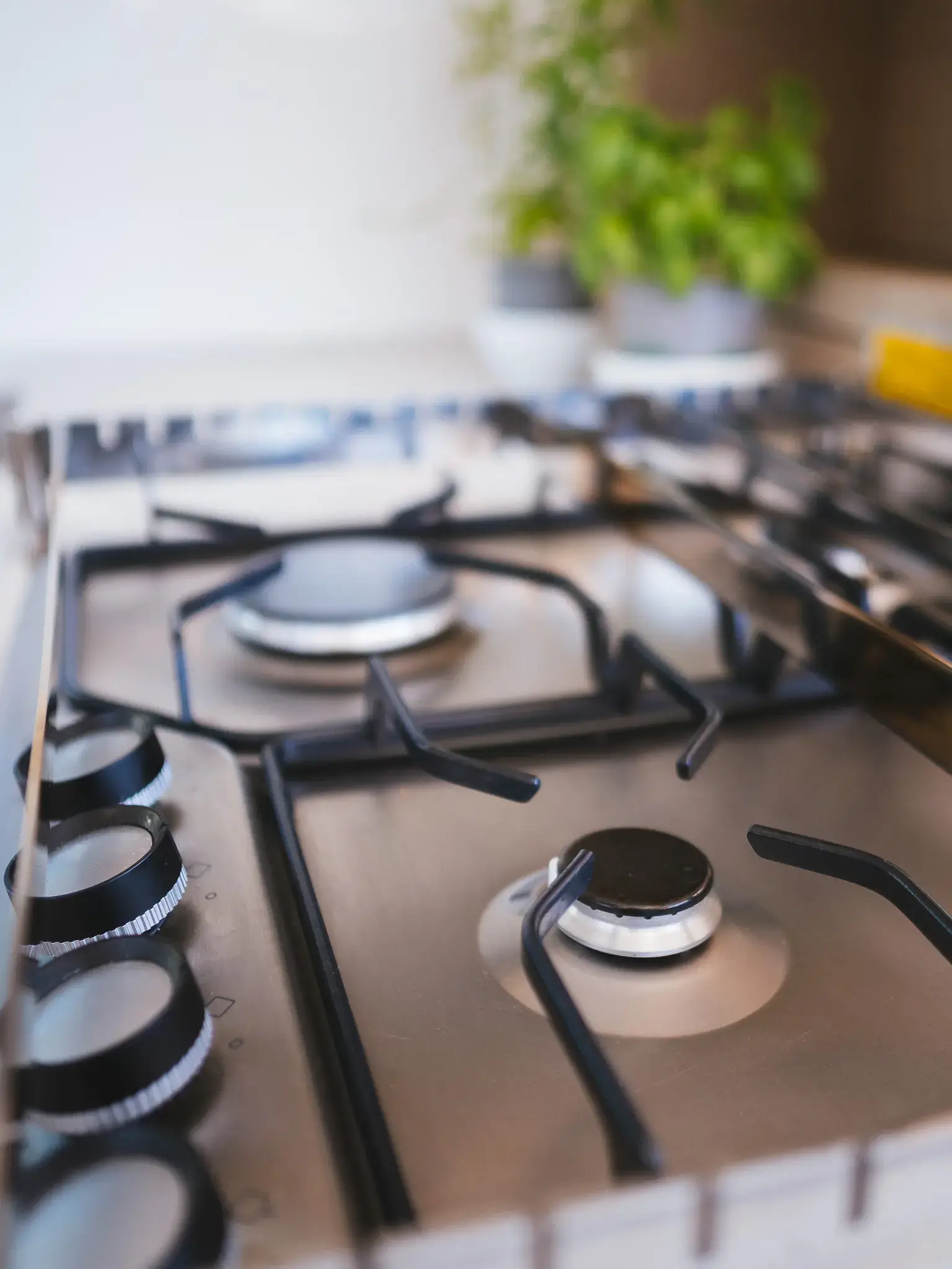 CATWALK thumbnail 23