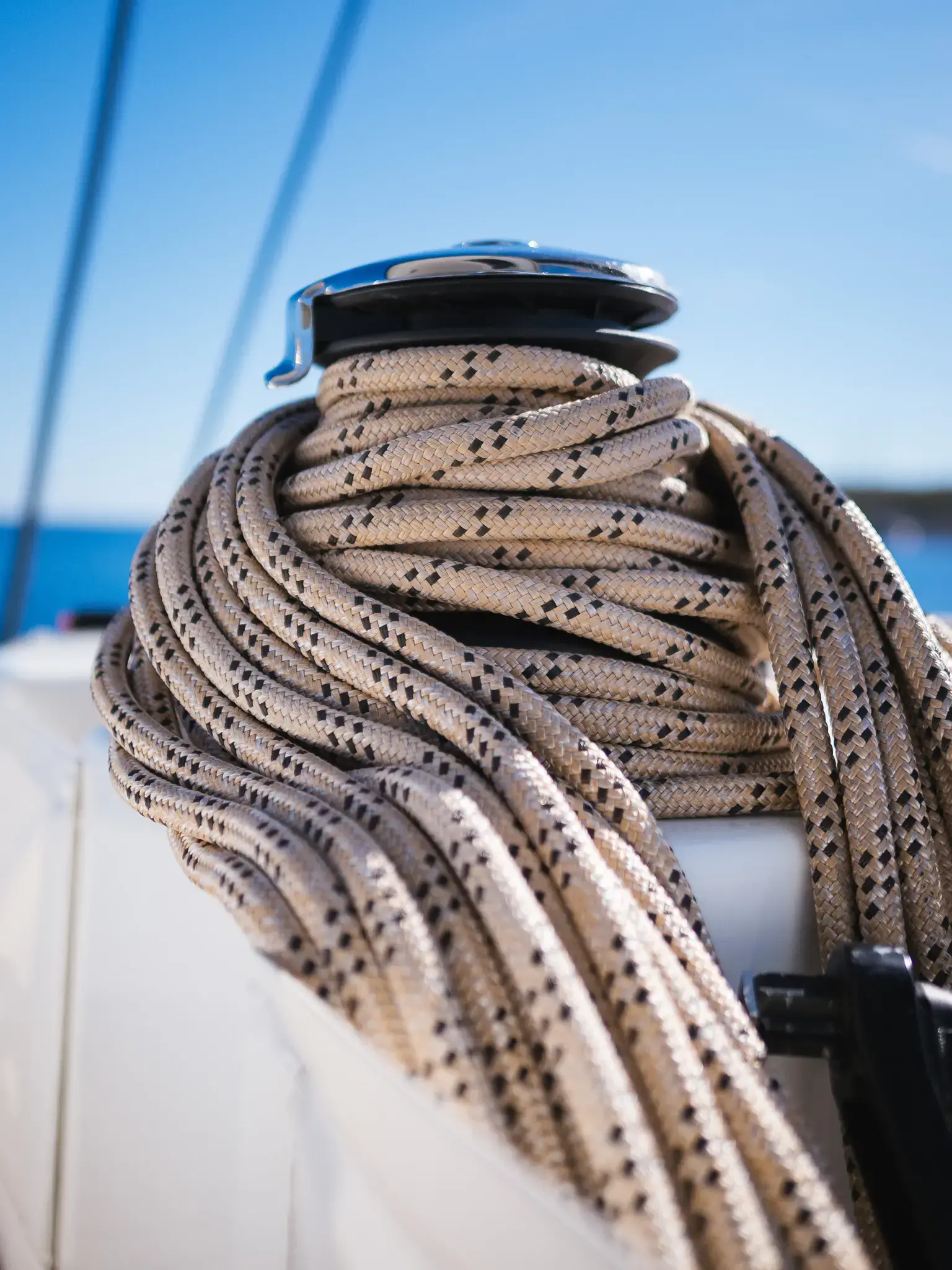 CATWALK thumbnail 49