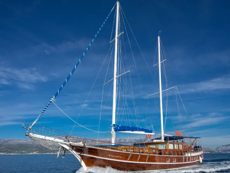 Atalanta thumbnail 4