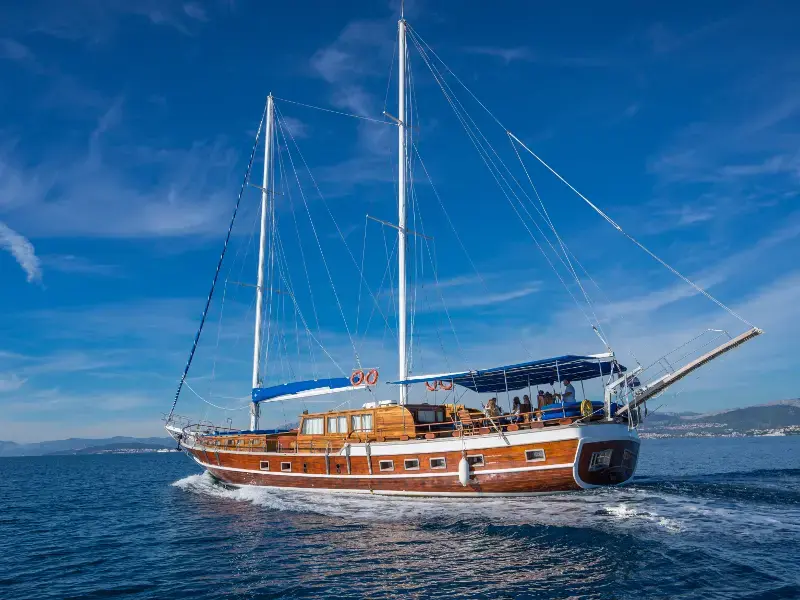 Atalanta thumbnail 5