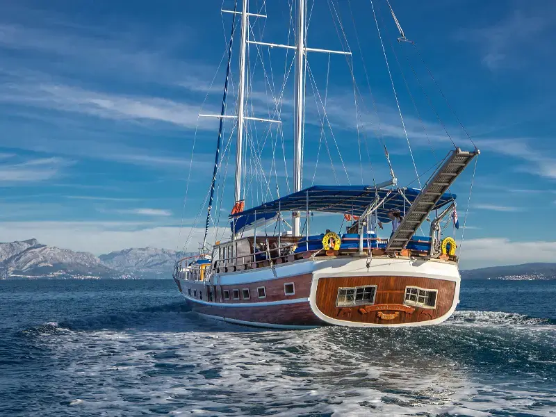 Atalanta thumbnail 7