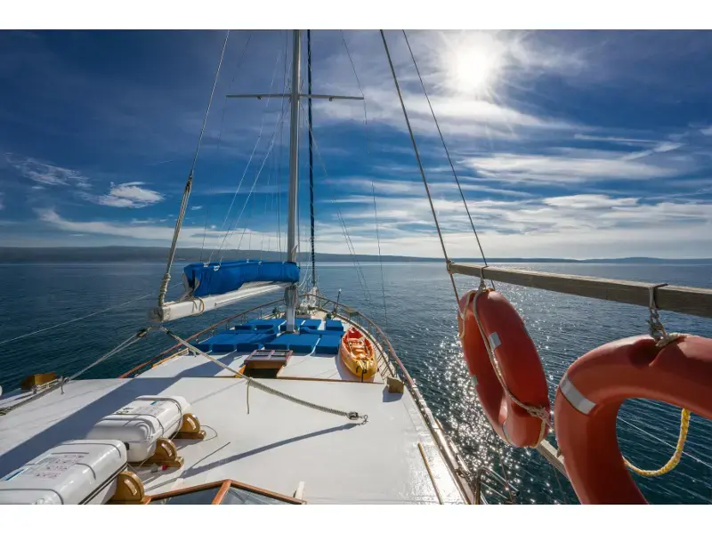 Atalanta thumbnail 10