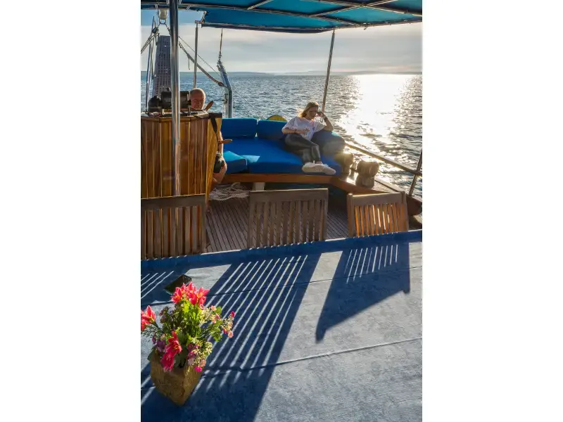 Atalanta thumbnail 25