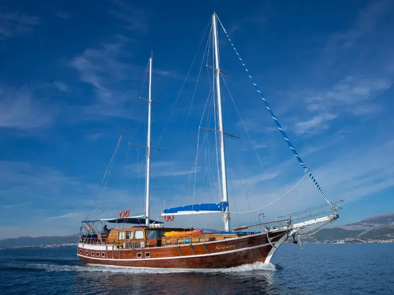 Atalanta thumbnail 37