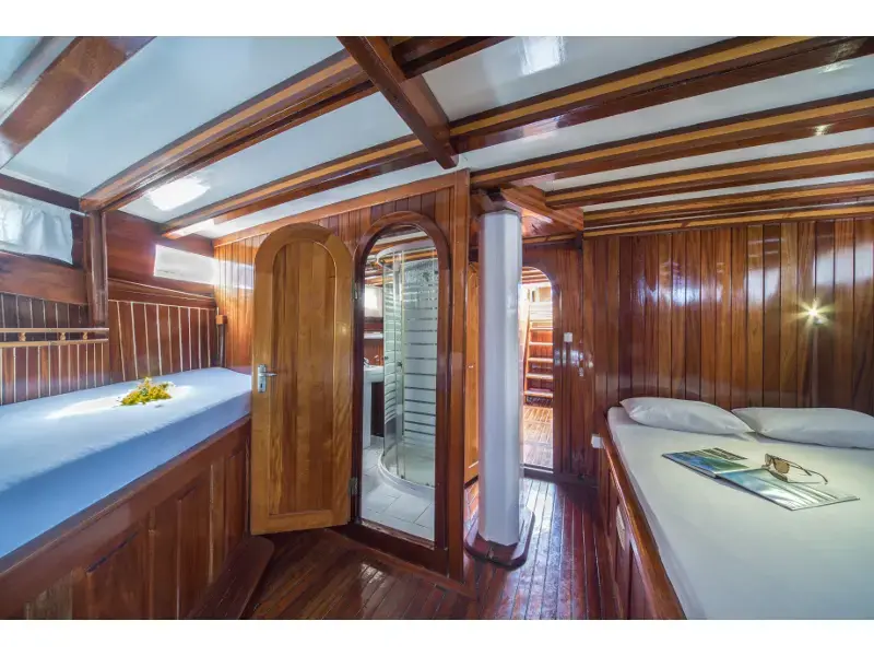 Atalanta thumbnail 50