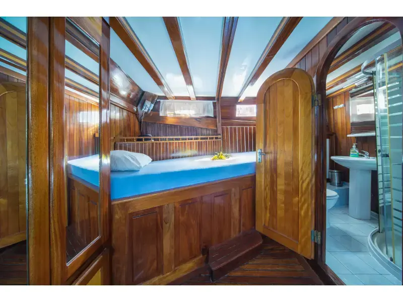 Atalanta thumbnail 51