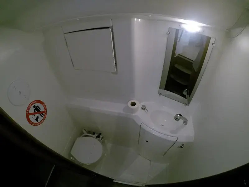 Grey pearl thumbnail 8