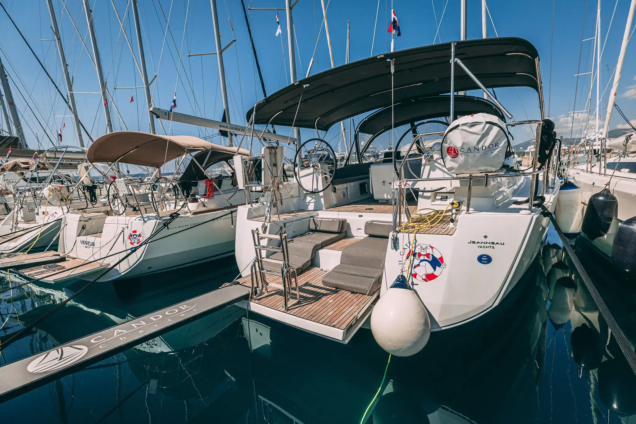 Il Gatto thumbnail 46