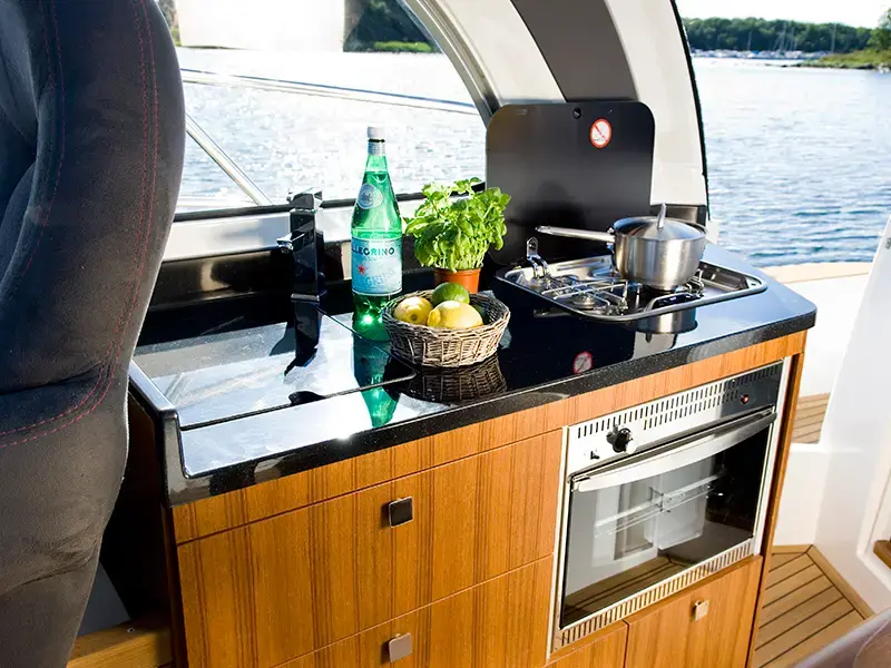 Morski konjic thumbnail 6