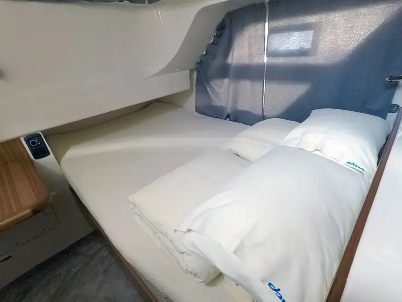 Morski konjic thumbnail 11