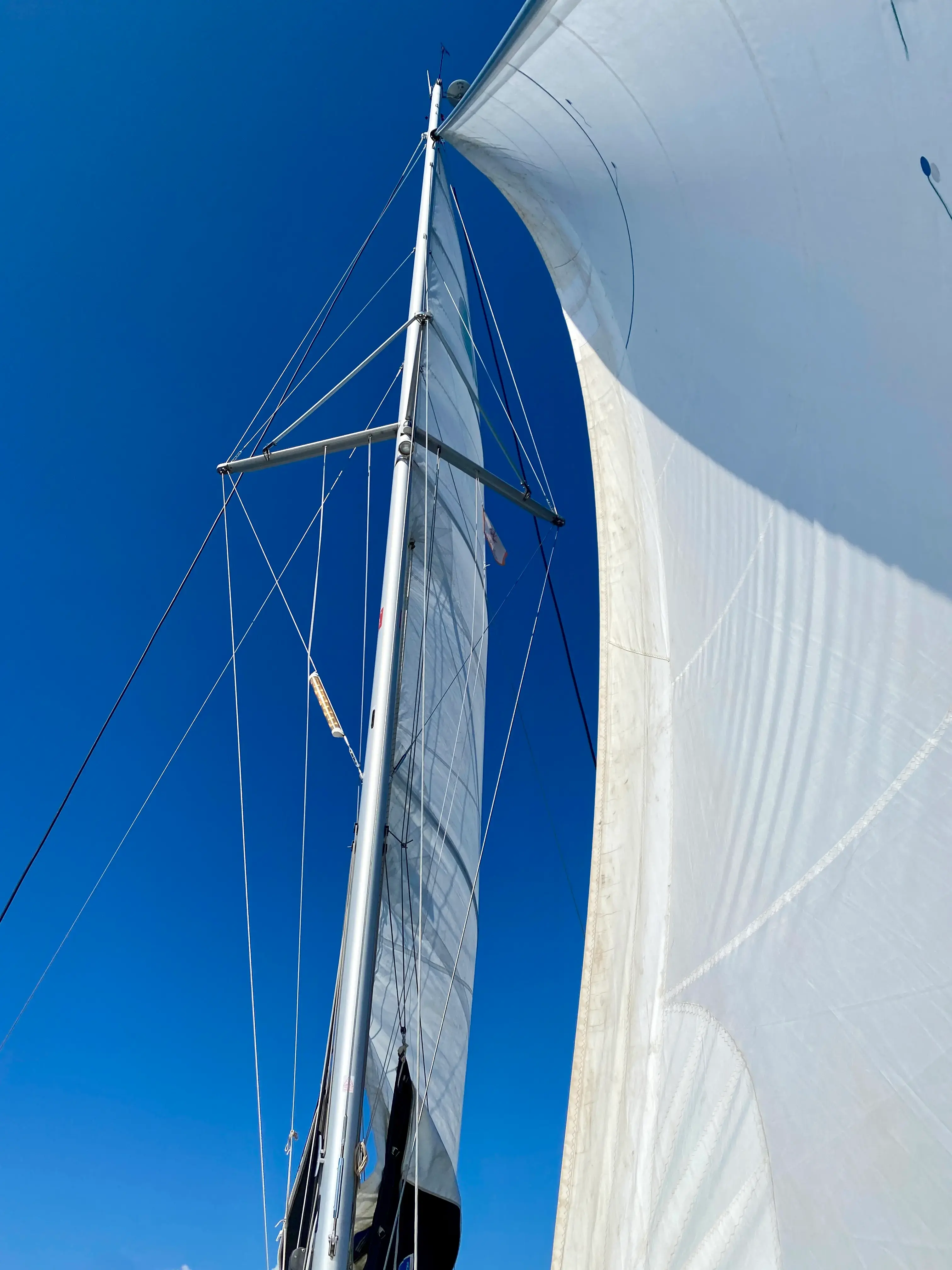 Mare Calma thumbnail 8