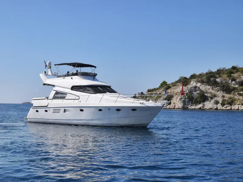 New Style  thumbnail 4