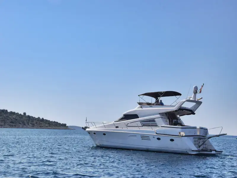 New Style  thumbnail 6