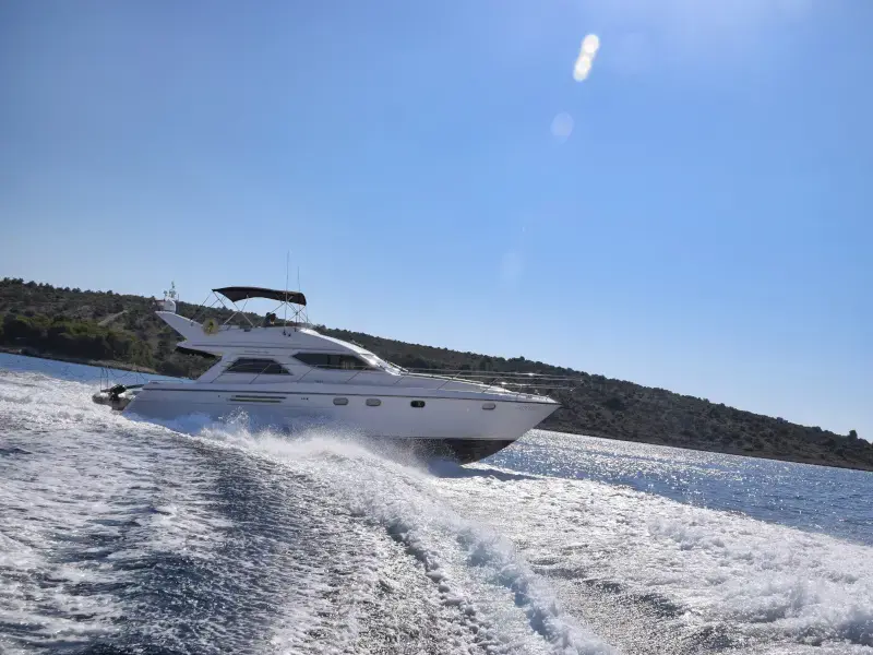 Carpe Diem  thumbnail 4