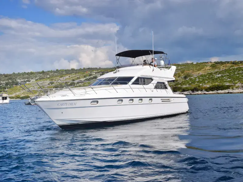 Carpe Diem  thumbnail 6