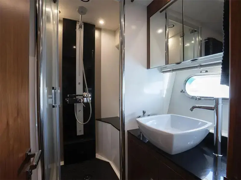 Goldeneye thumbnail 8