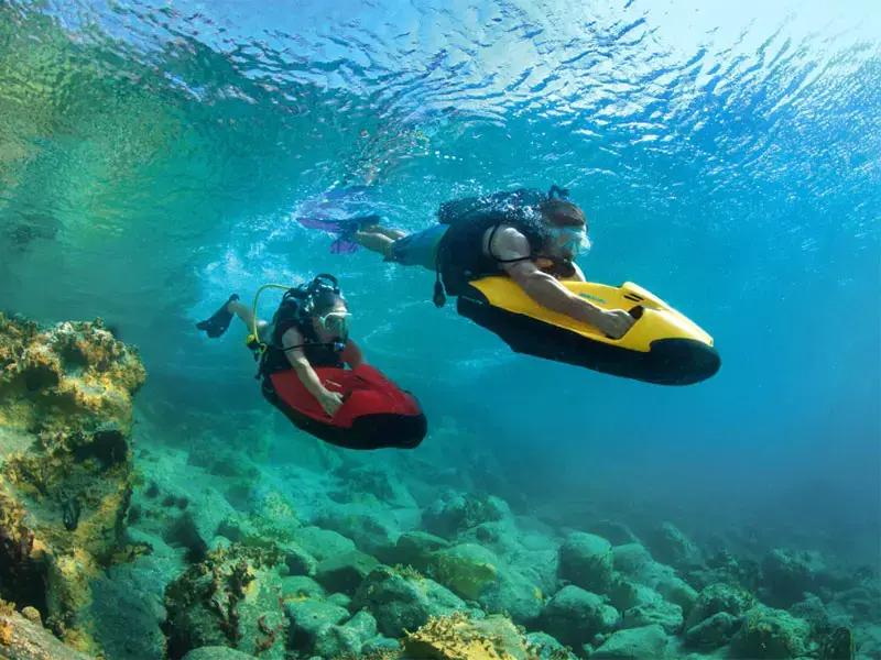 Goldeneye thumbnail 20