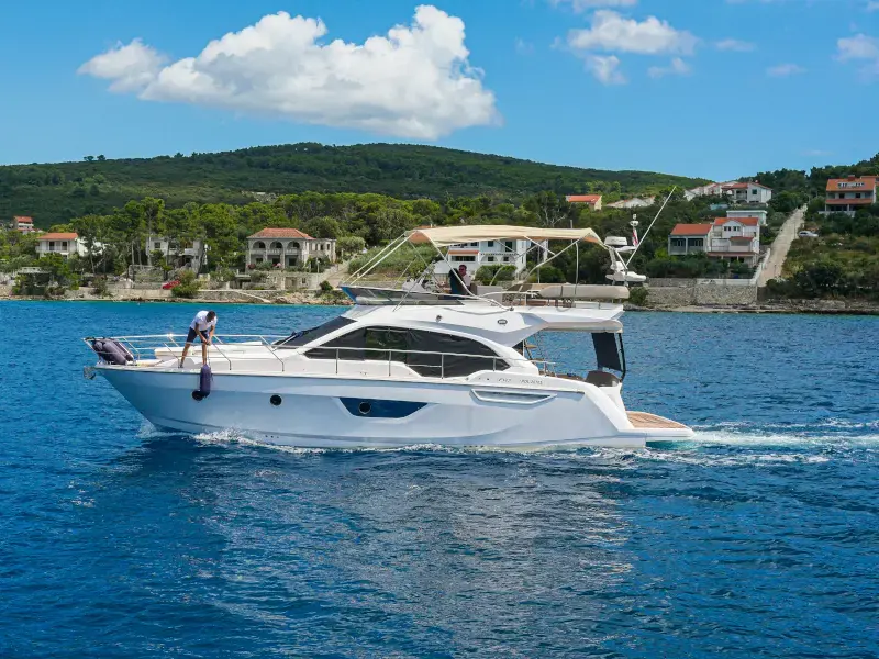 Star Dust thumbnail 4