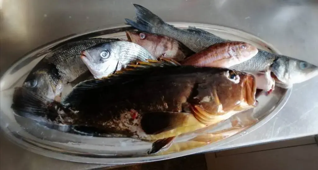 ADRIATIC HOLIDAY thumbnail 9