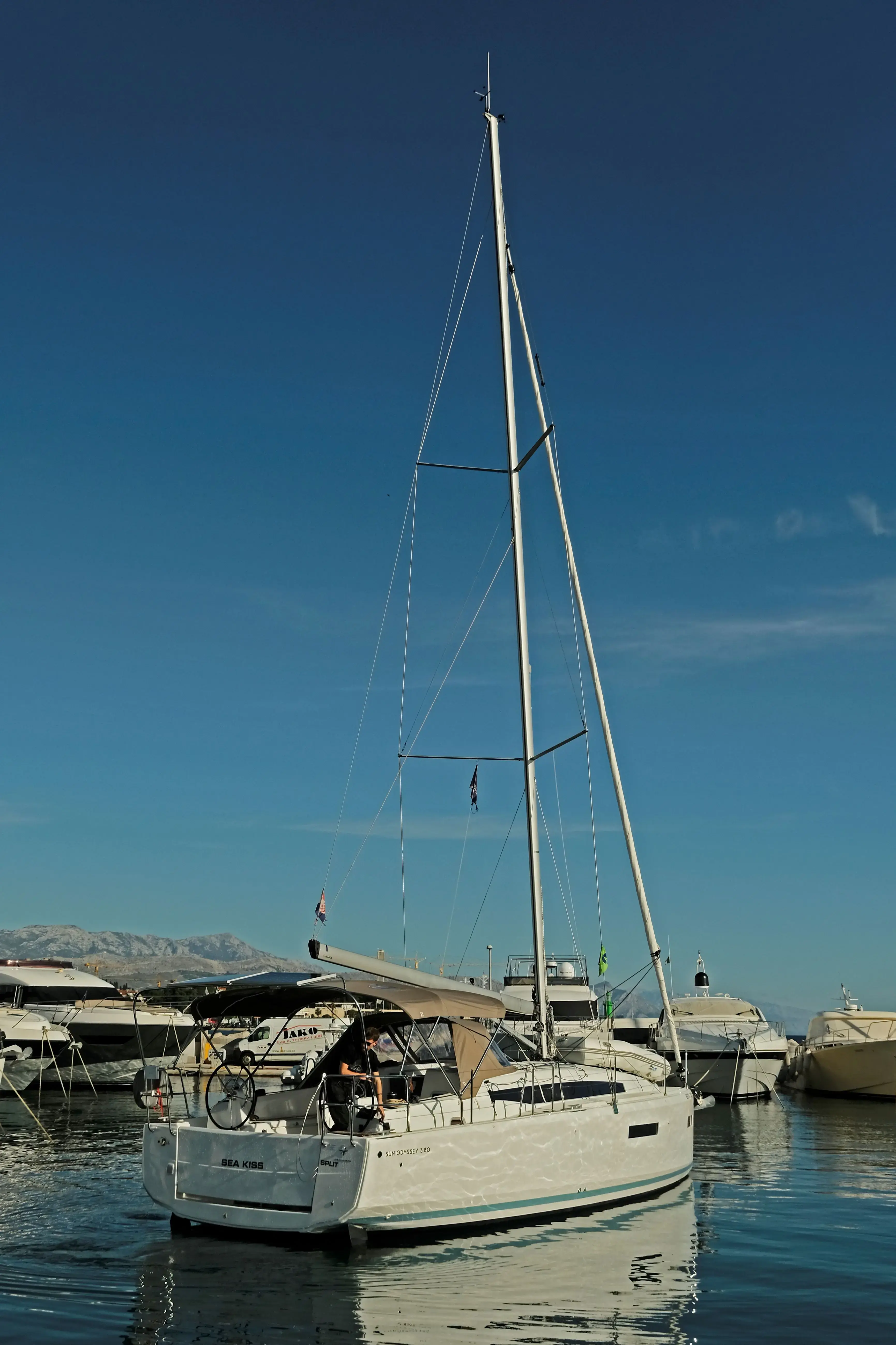 Sea Kiss thumbnail 7