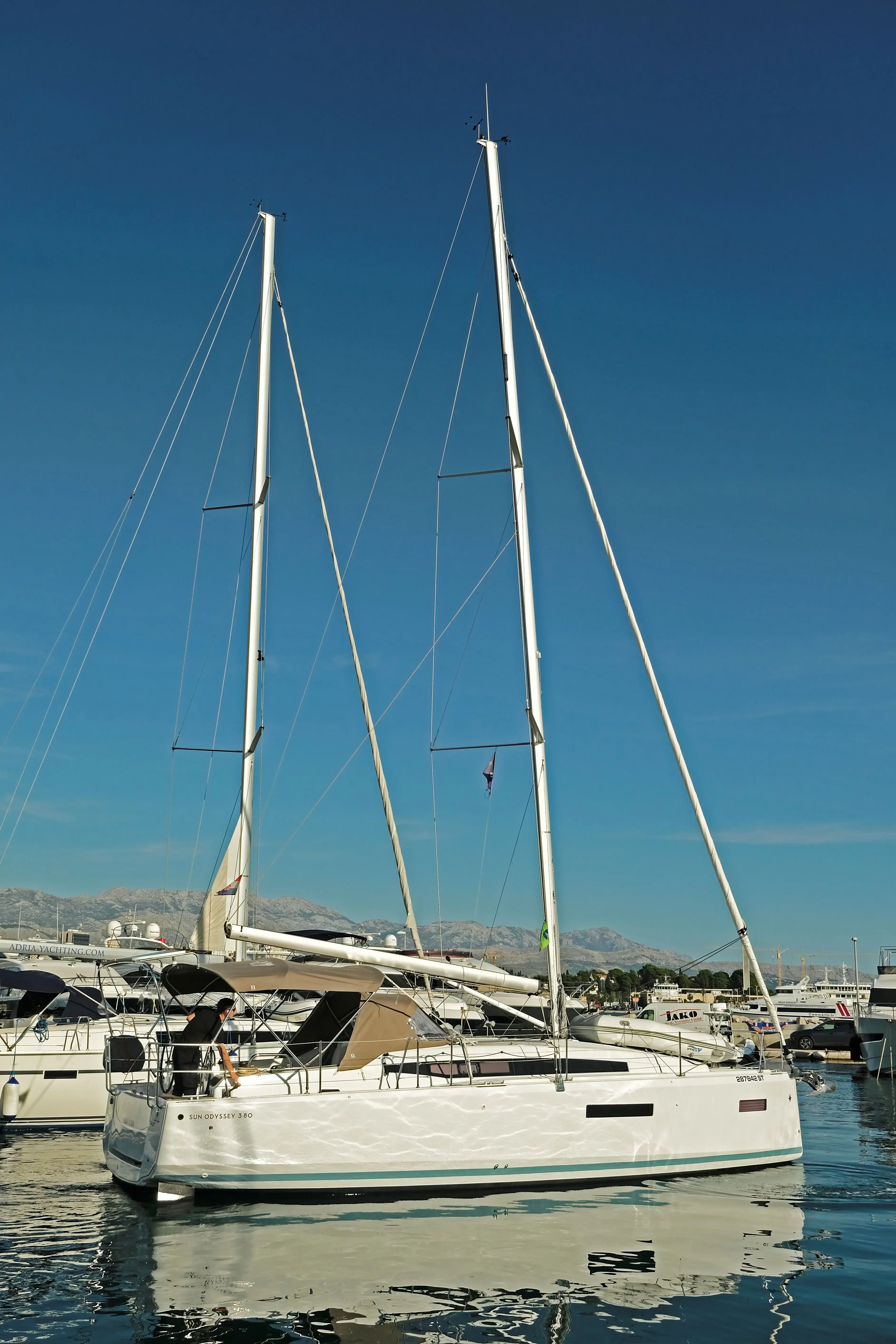 Sea Kiss thumbnail 9