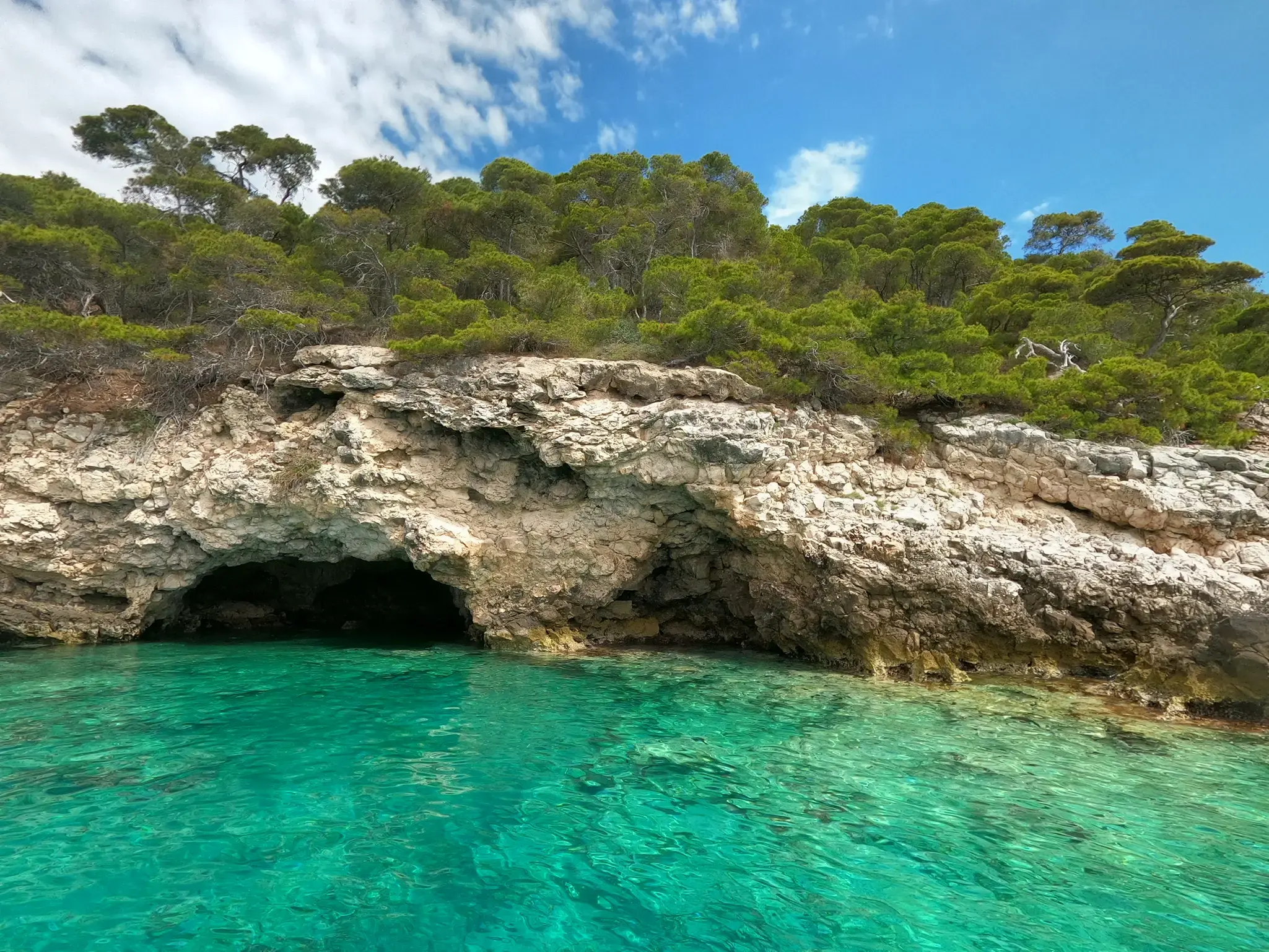 Zia Nella thumbnail 15