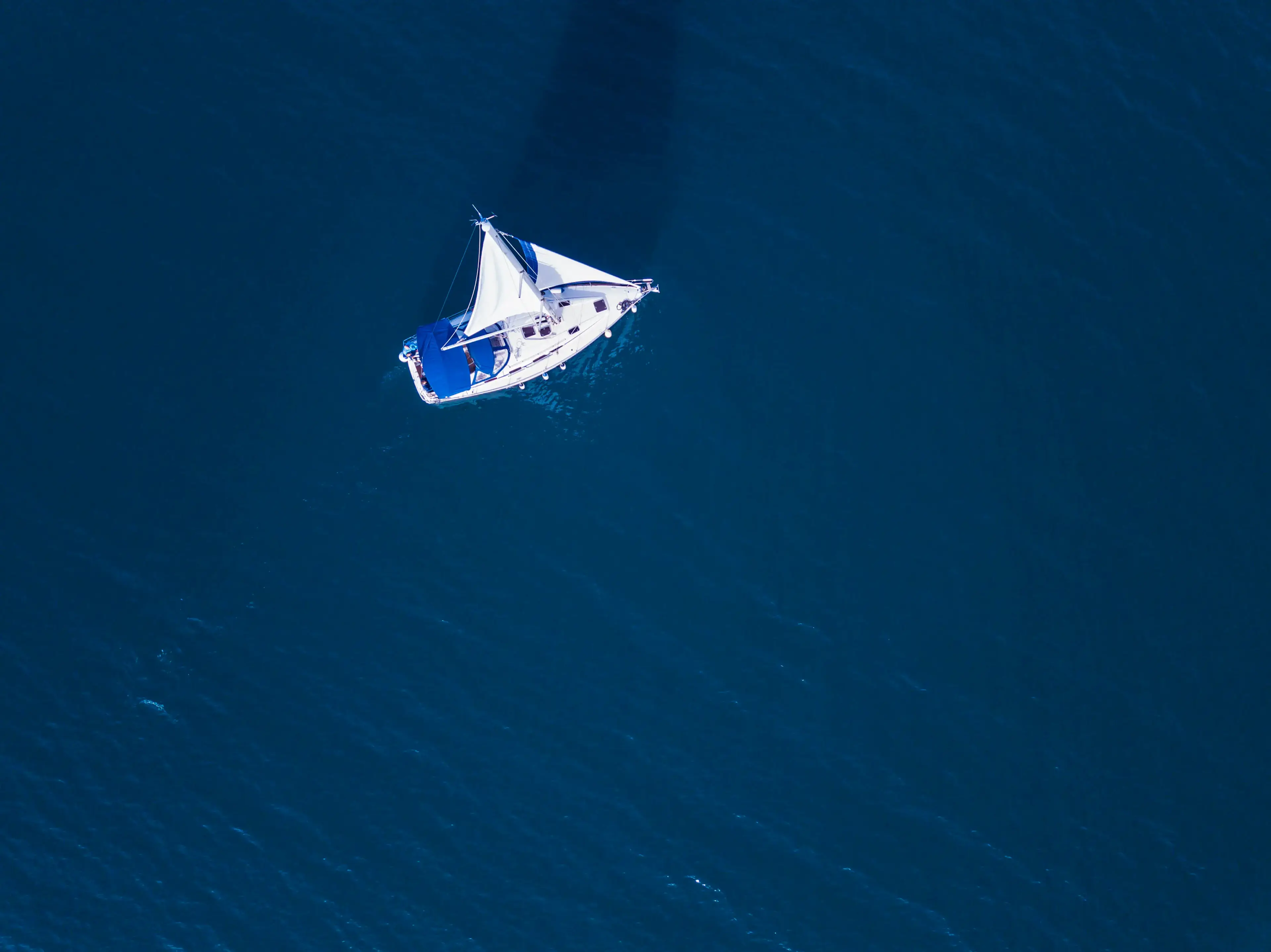 "LADY BUTTERFLY" thumbnail 5