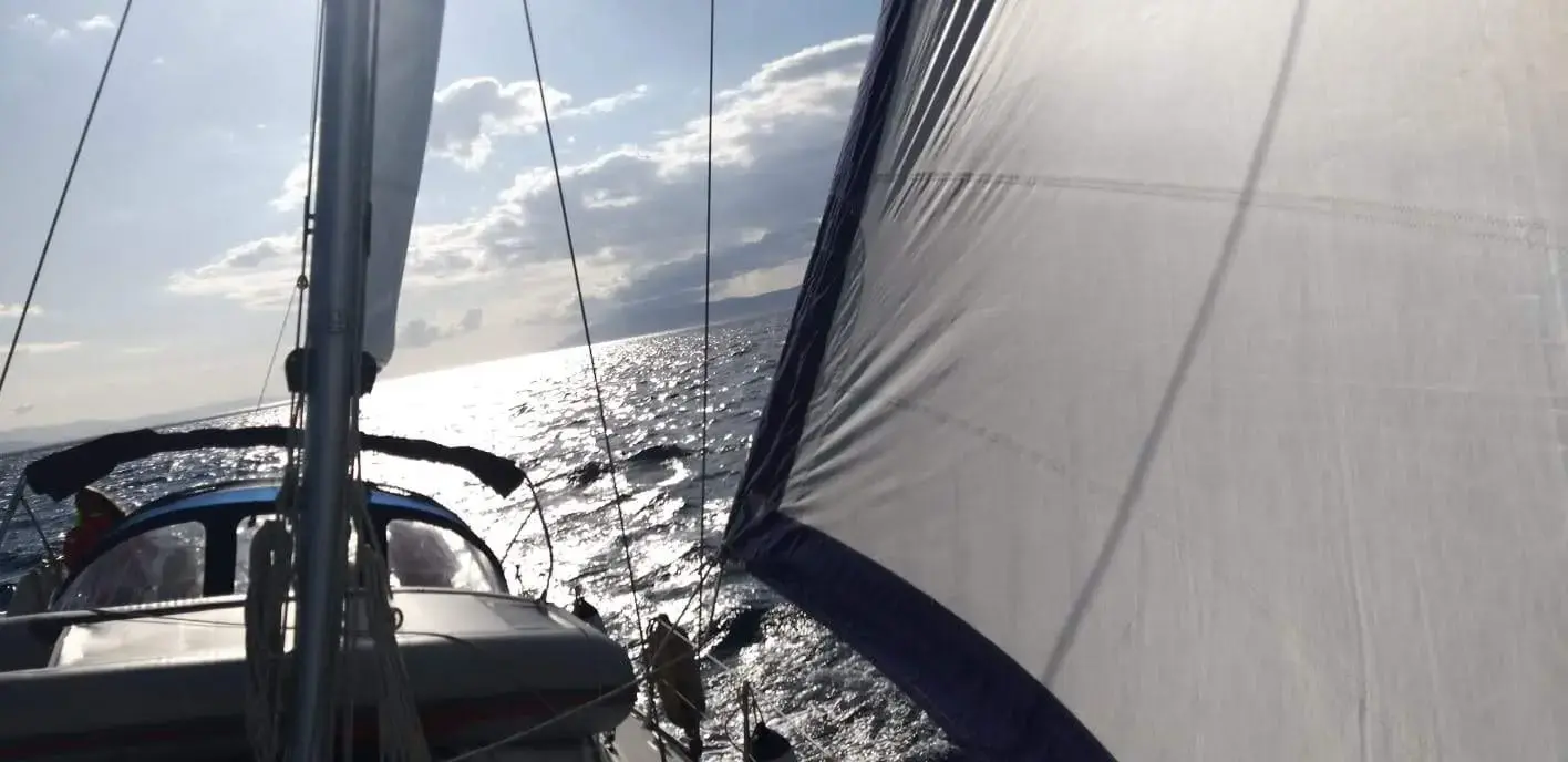 "LADY BUTTERFLY" thumbnail 10