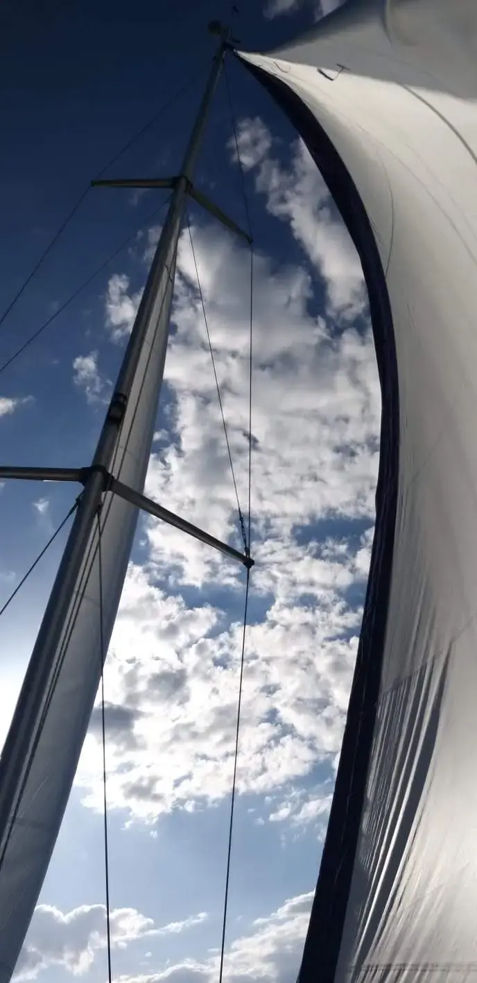 "LADY BUTTERFLY" thumbnail 11