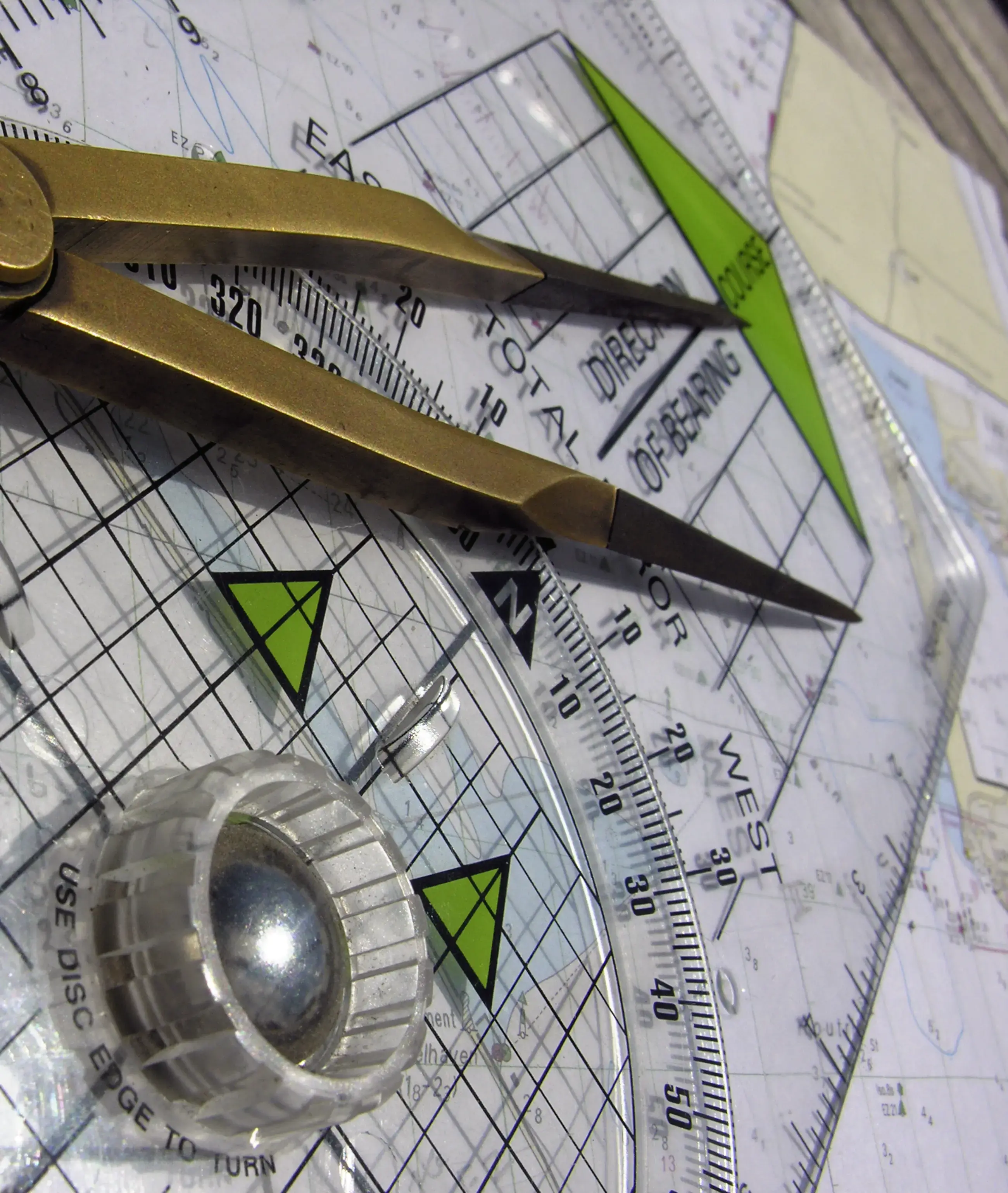 "LADY BUTTERFLY" thumbnail 16