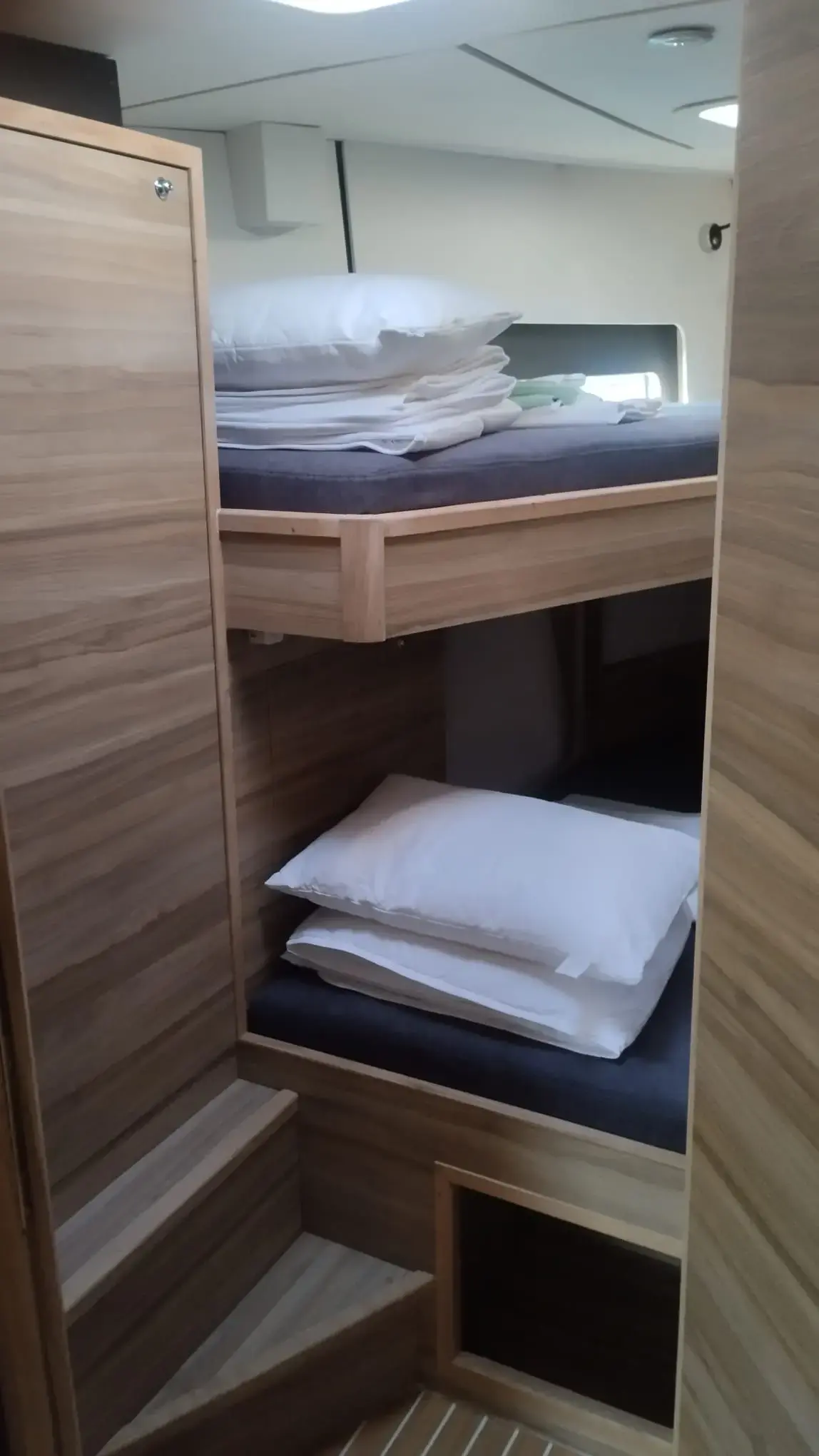 Extraordinarius thumbnail 17