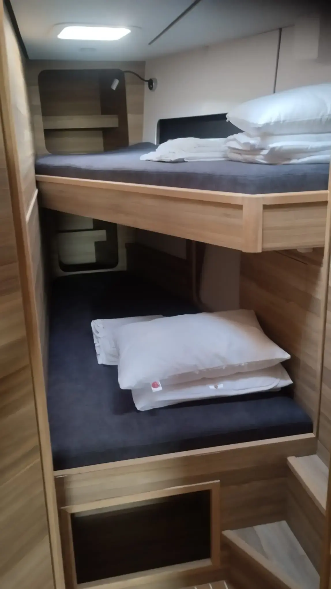 Extraordinarius thumbnail 18