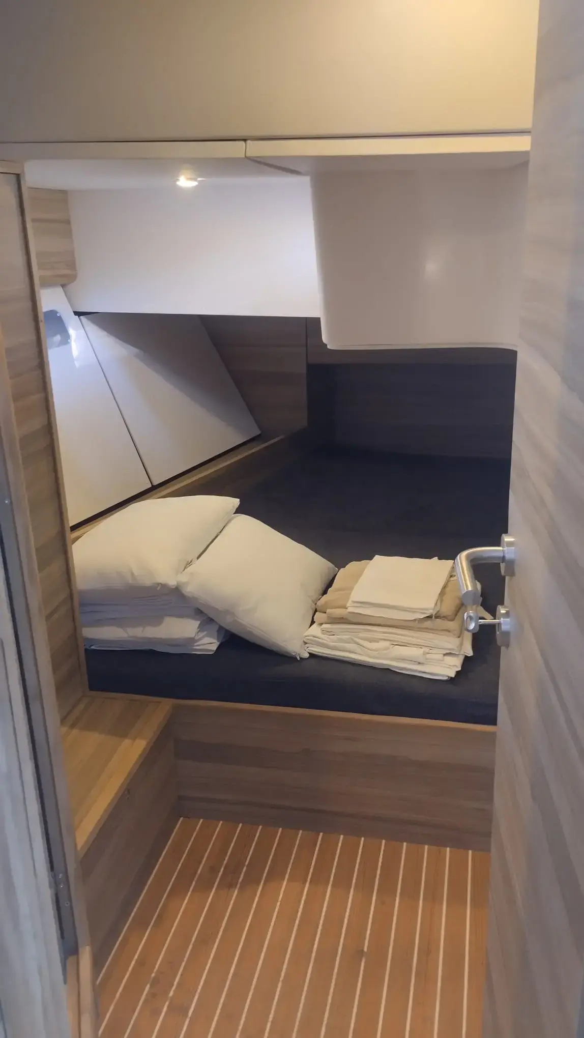 Extraordinarius thumbnail 21