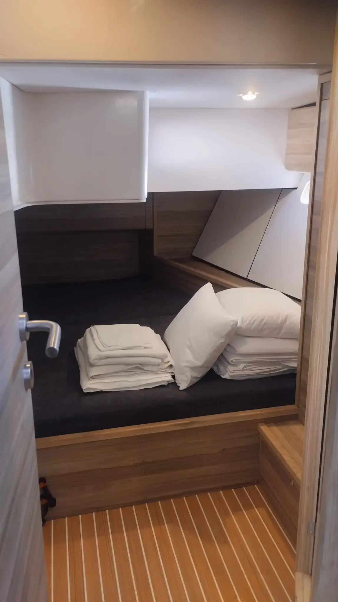 Extraordinarius thumbnail 24