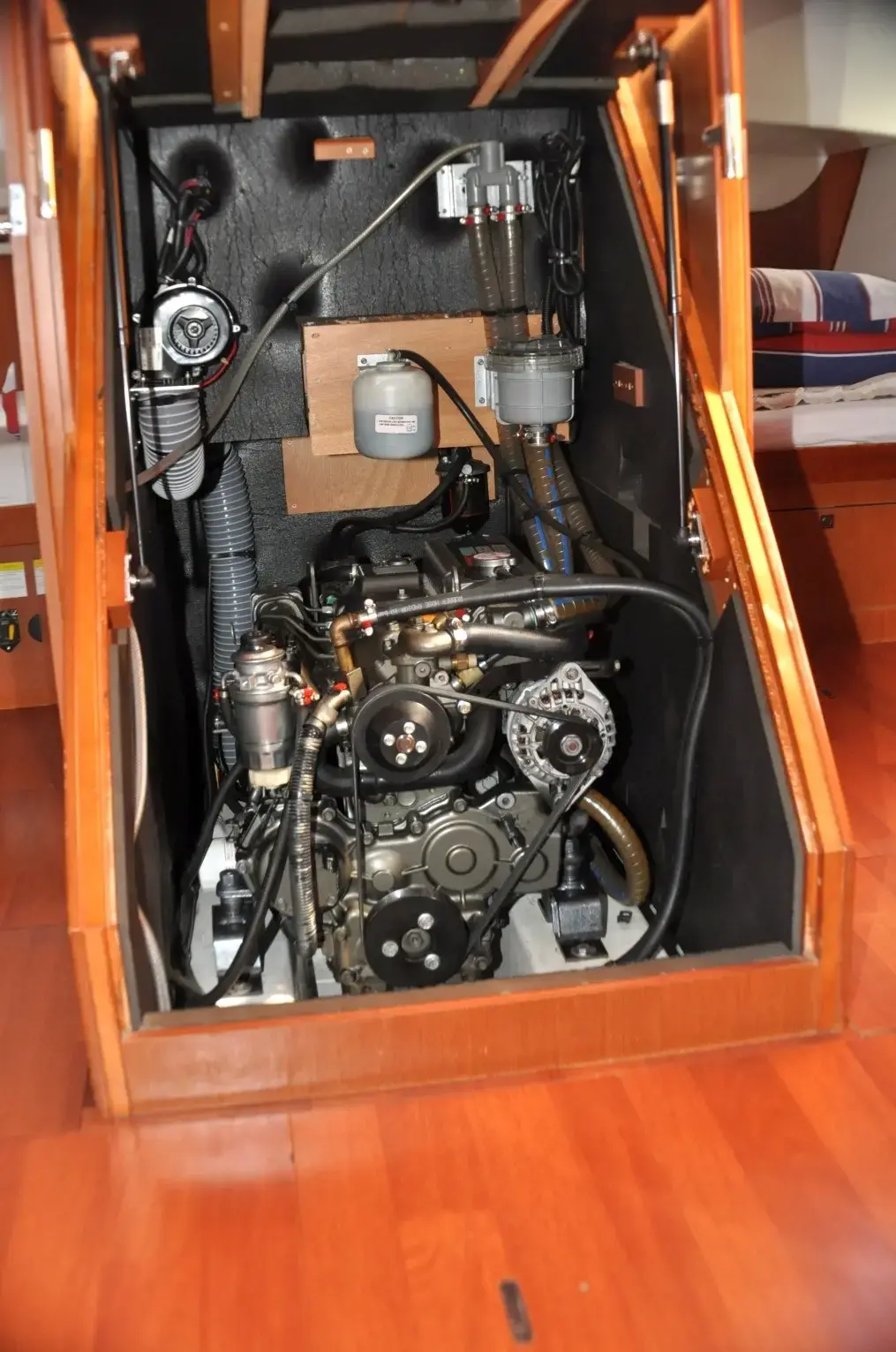 Cheeky Lady thumbnail 13