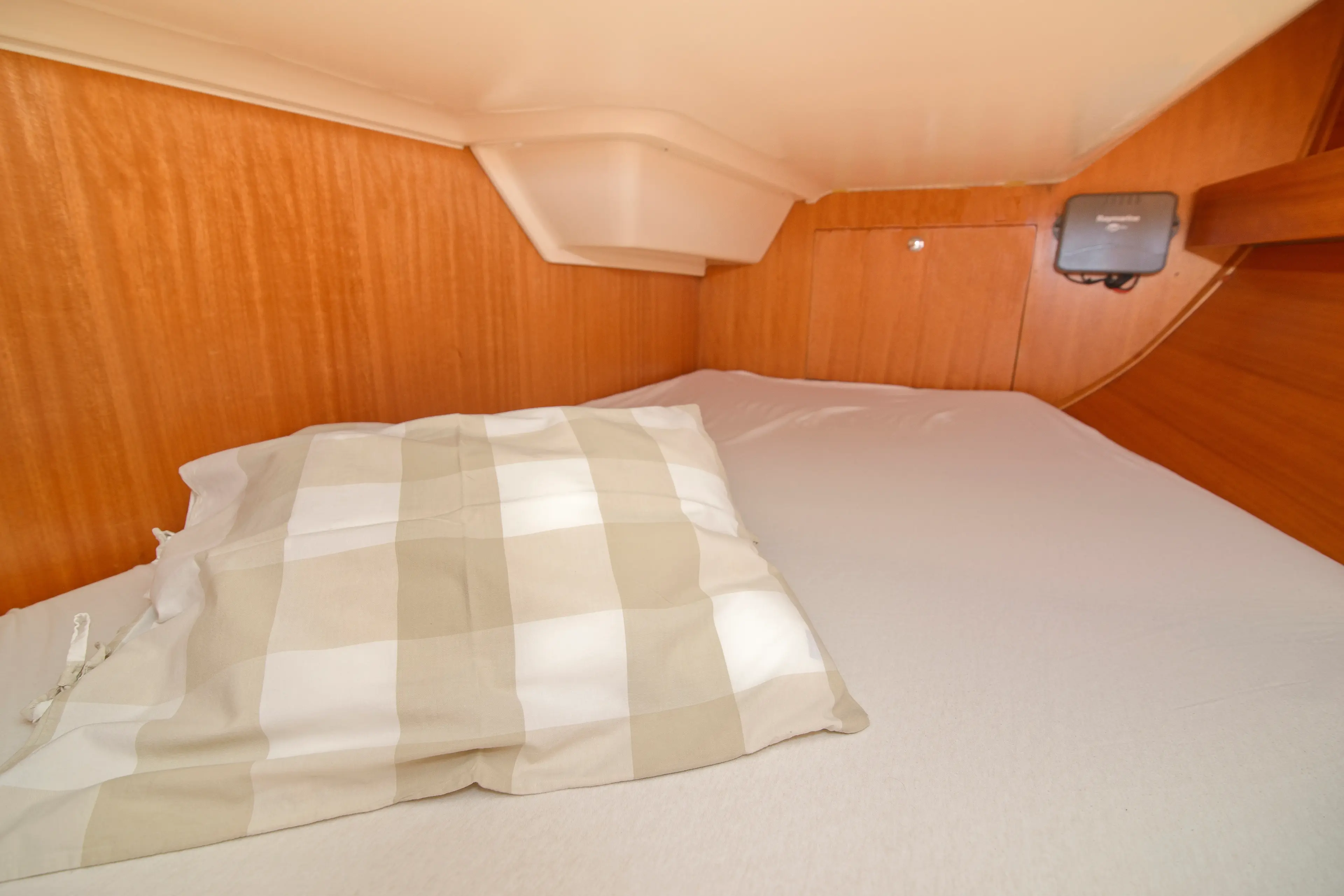 Amazone thumbnail 14