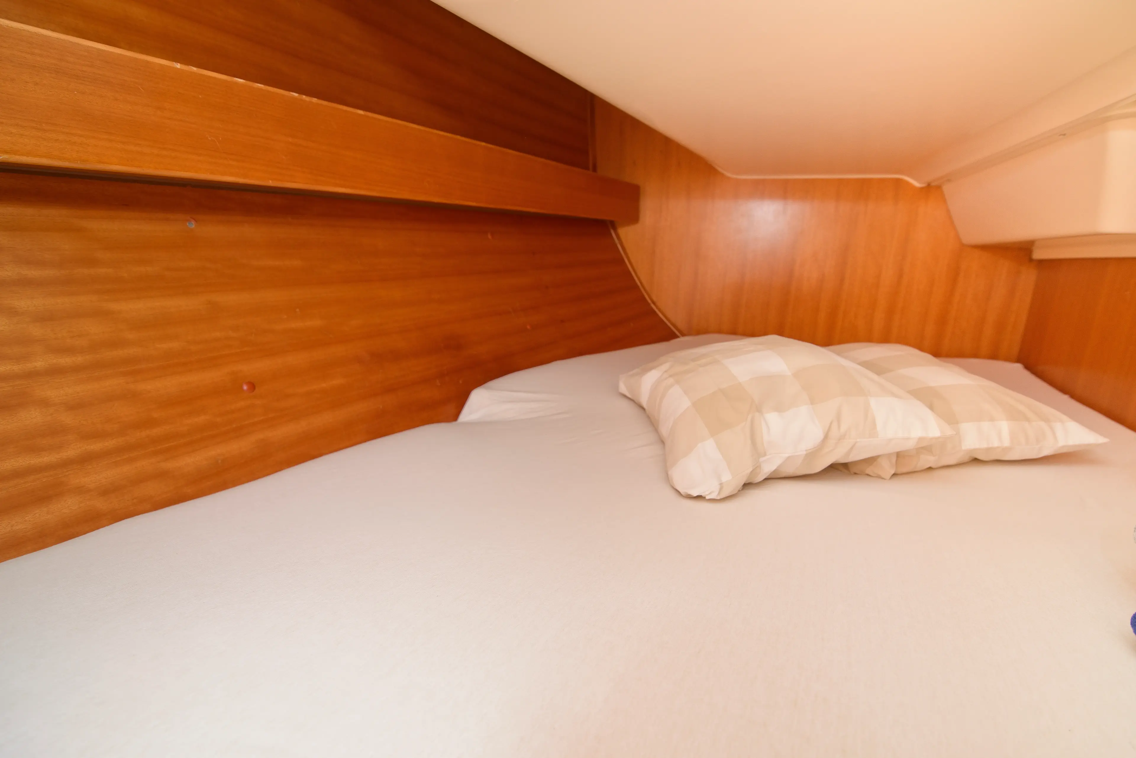 Amazone thumbnail 25