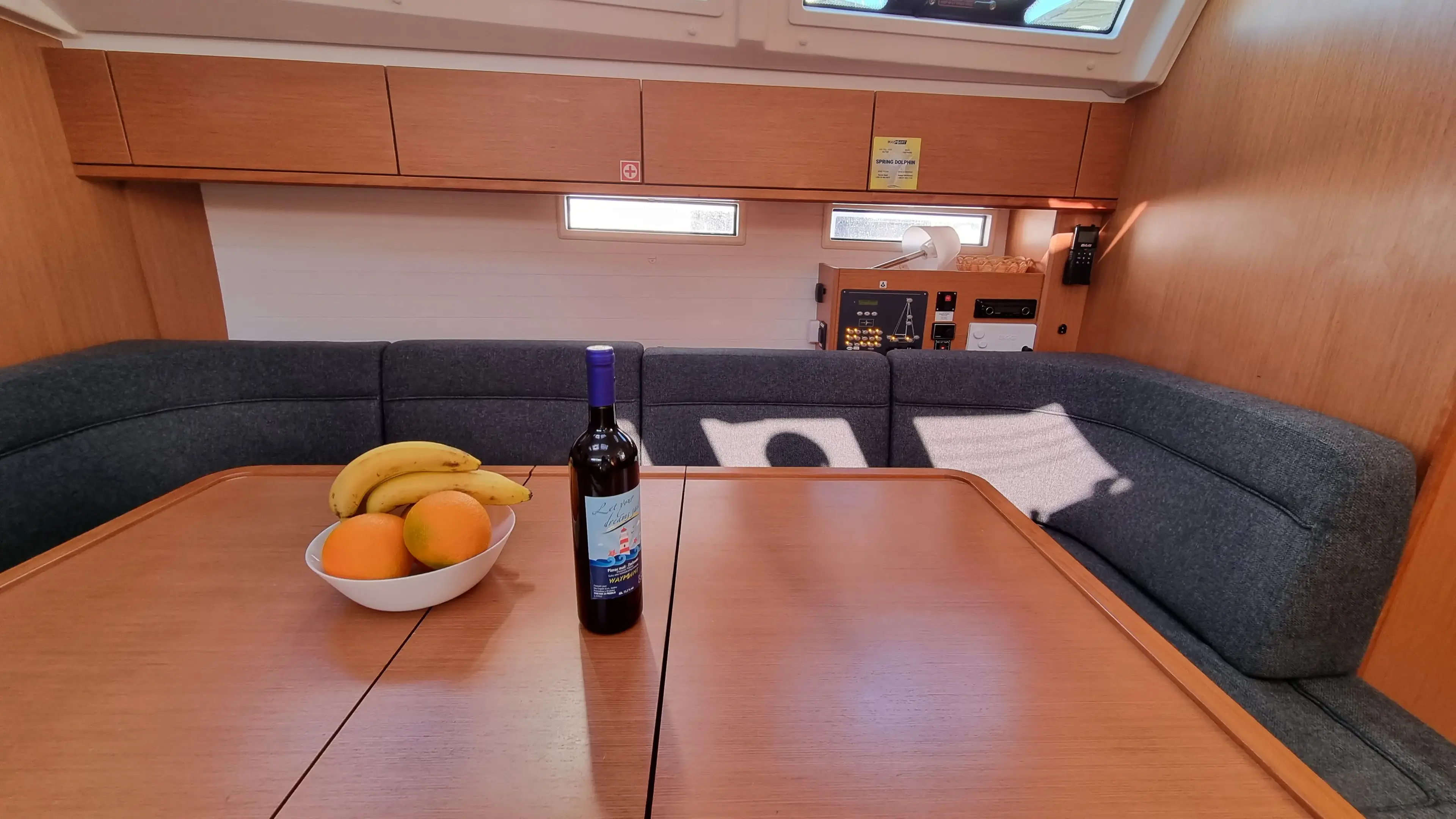 Spring Dolphin thumbnail 7