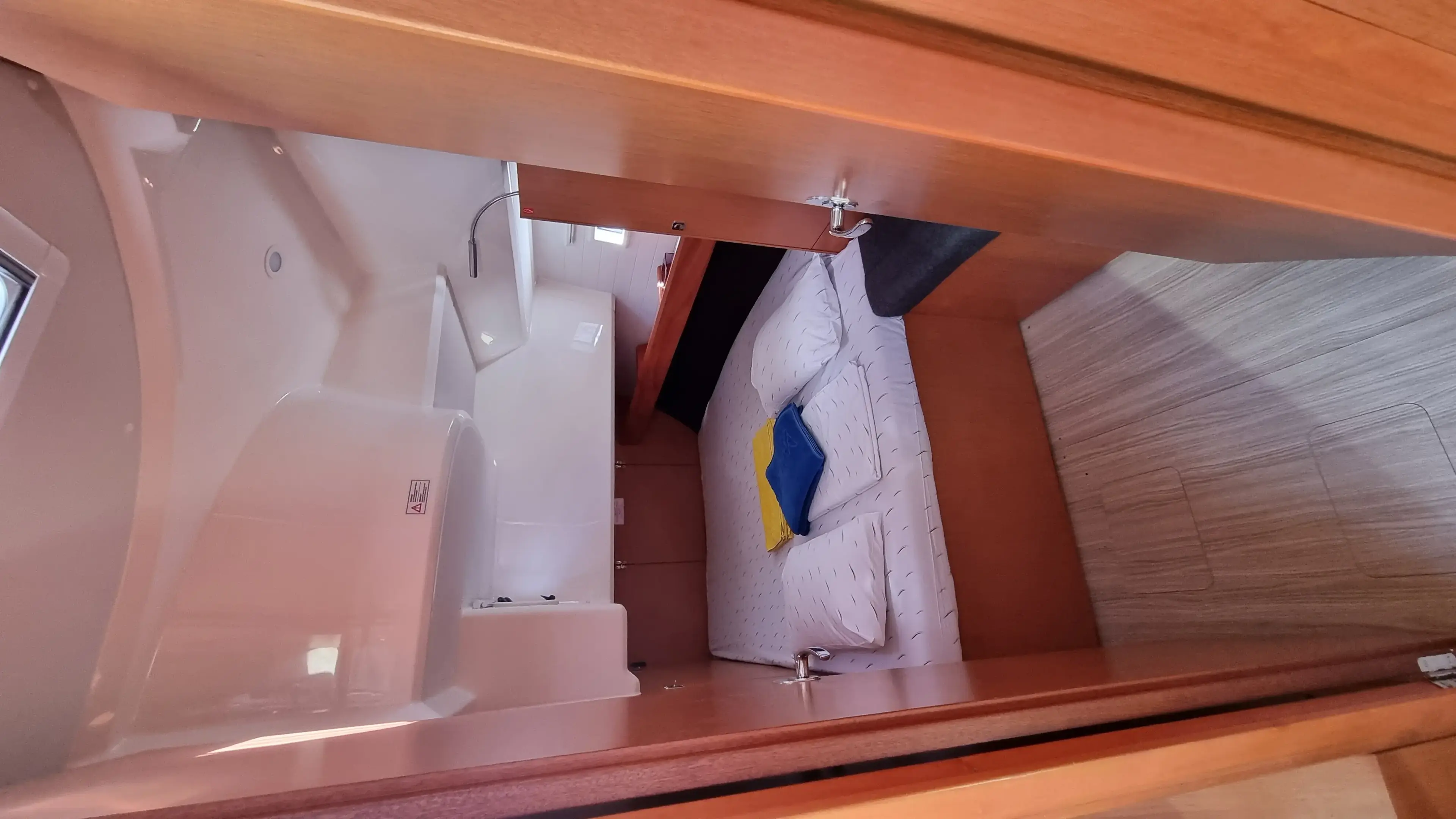 Spring Dolphin thumbnail 11