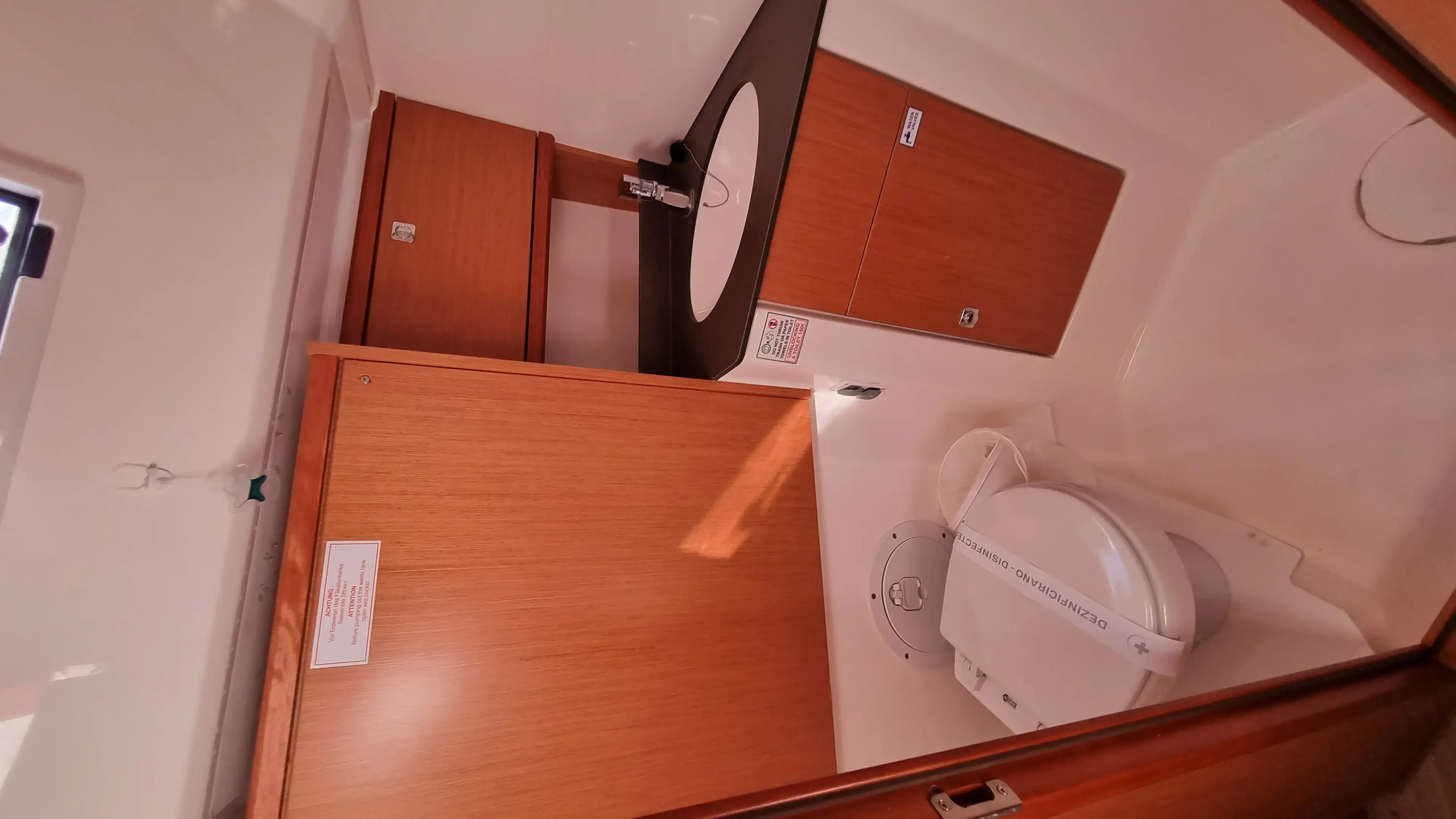 Spring Dolphin thumbnail 12