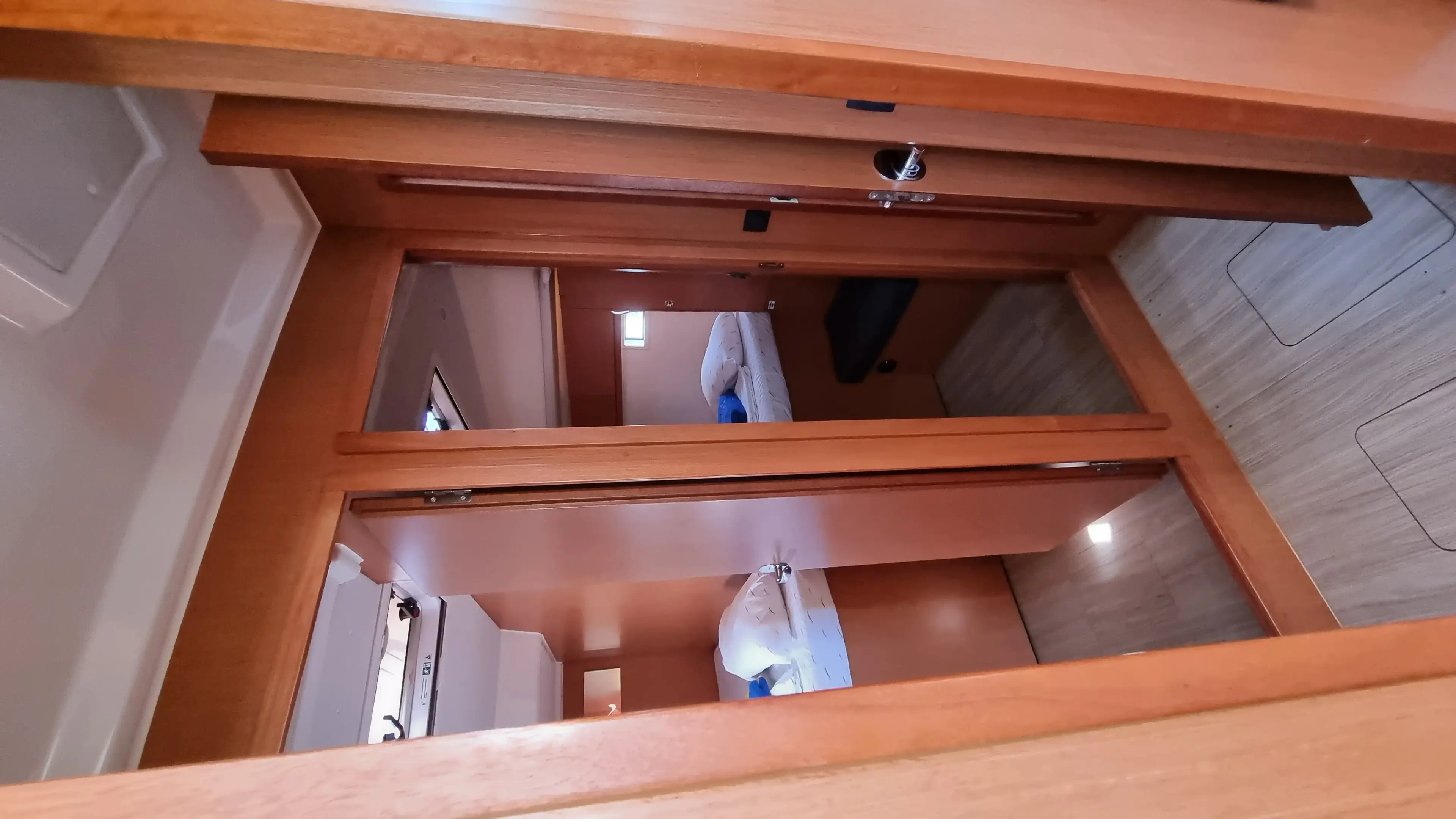 Spring Dolphin thumbnail 14