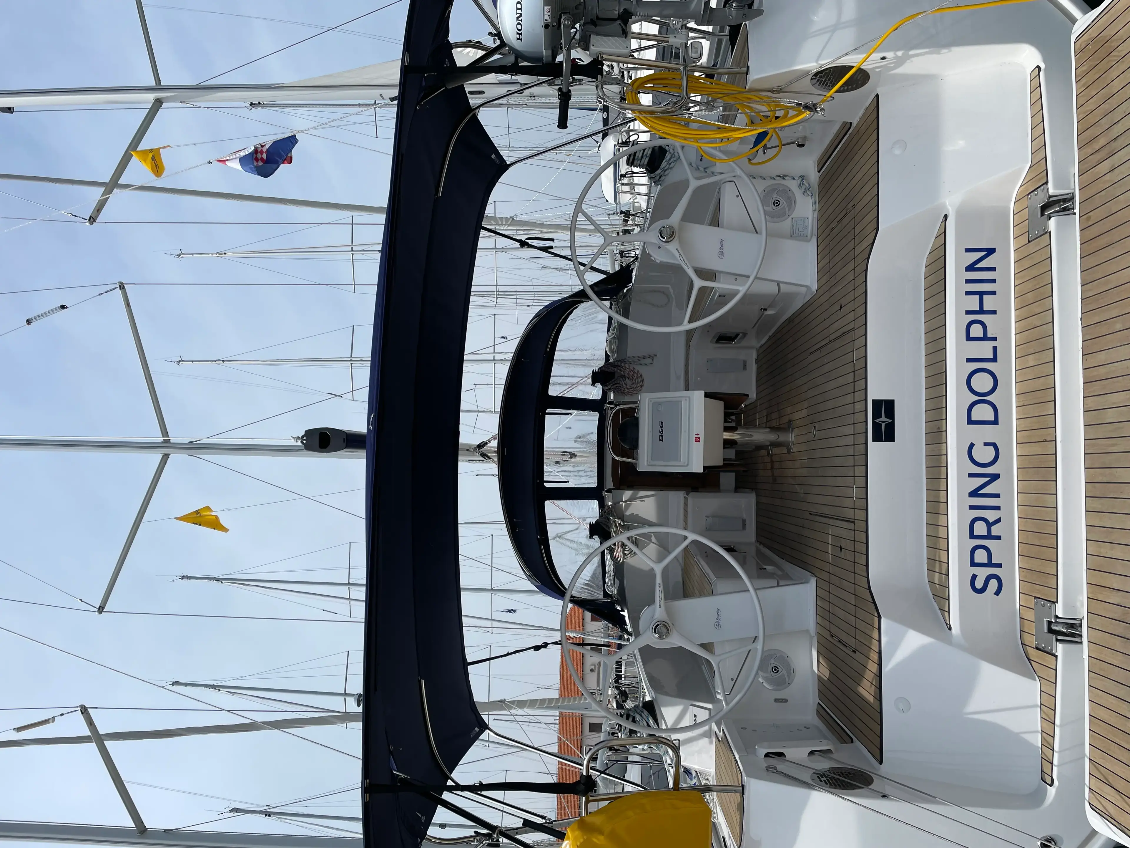 Spring Dolphin thumbnail 20