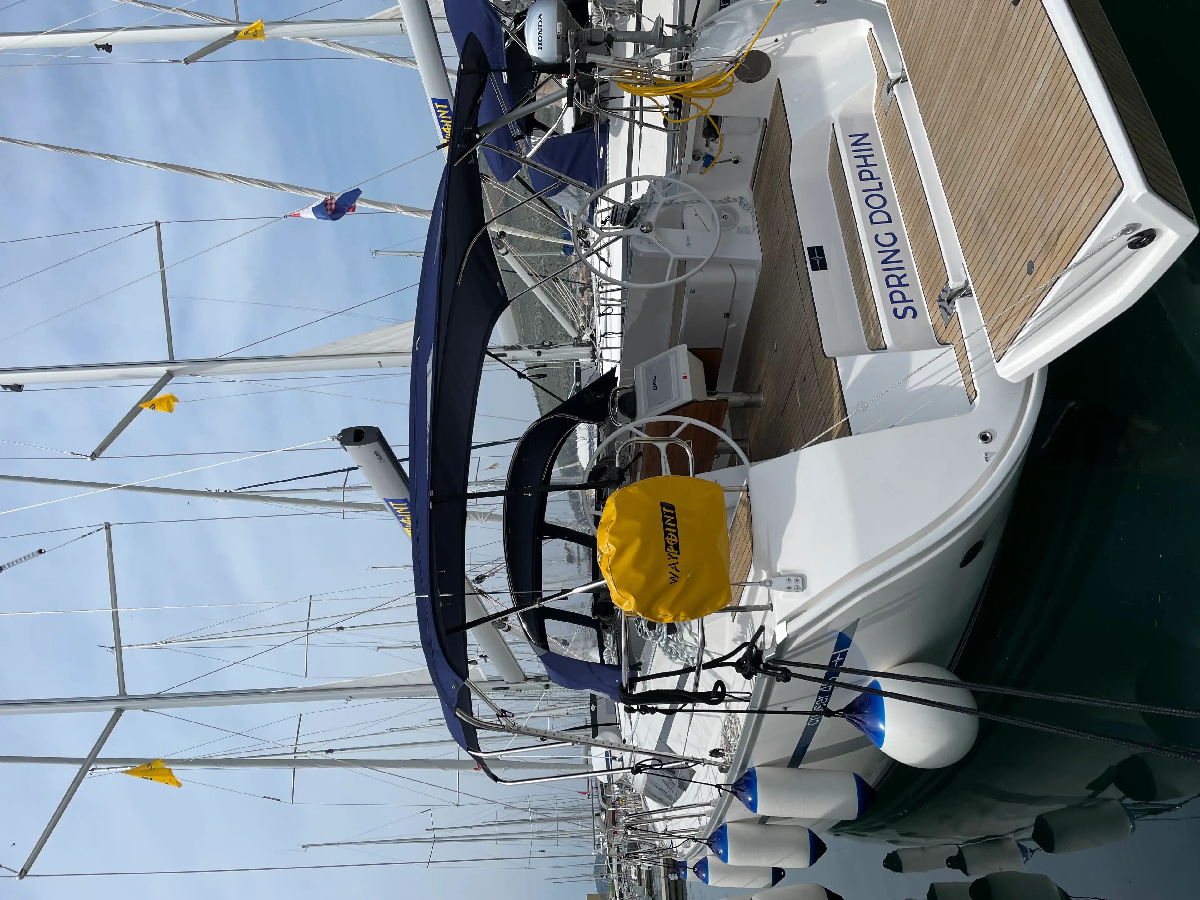 Spring Dolphin thumbnail 19