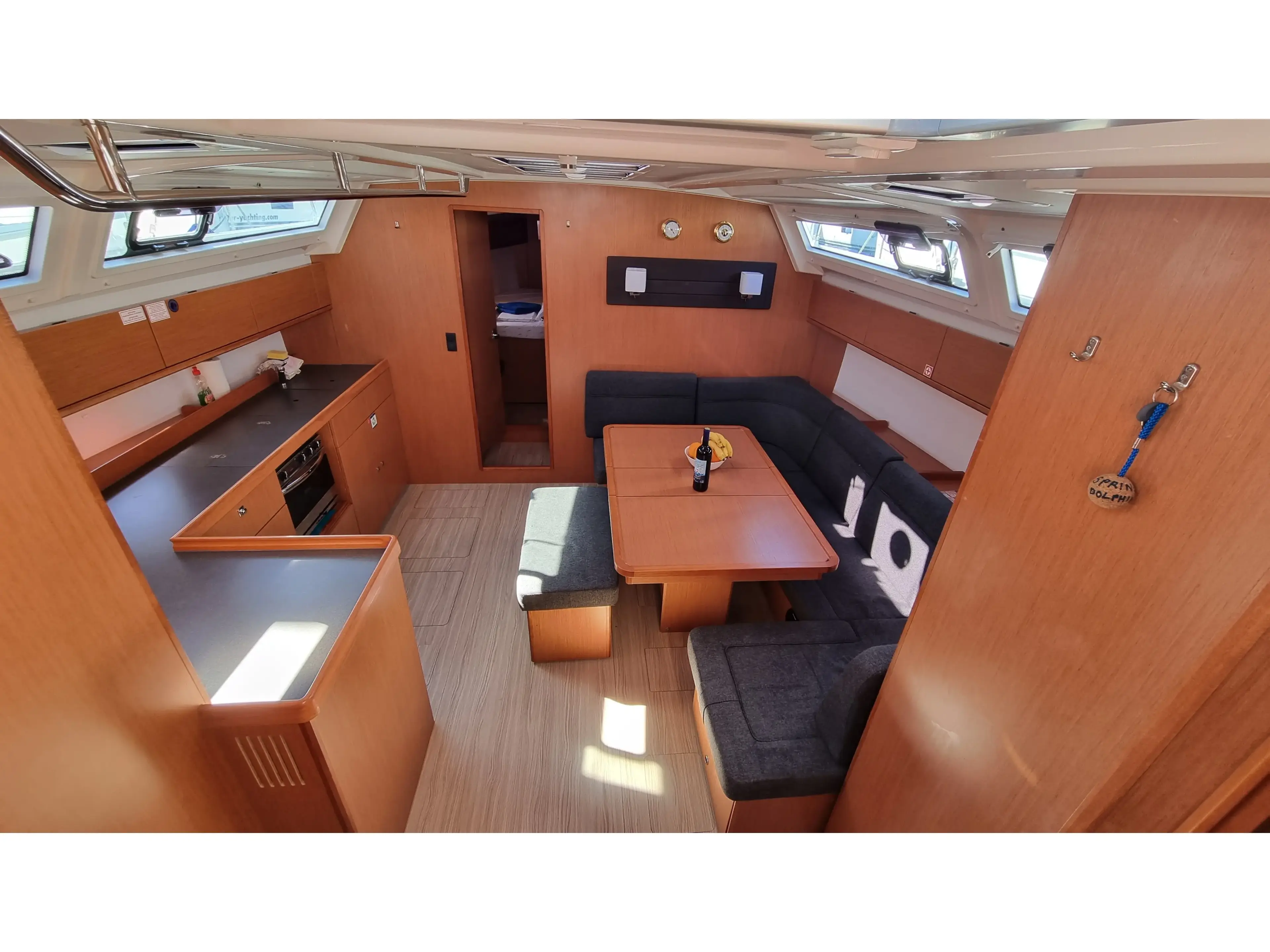 Spring Dolphin thumbnail 3