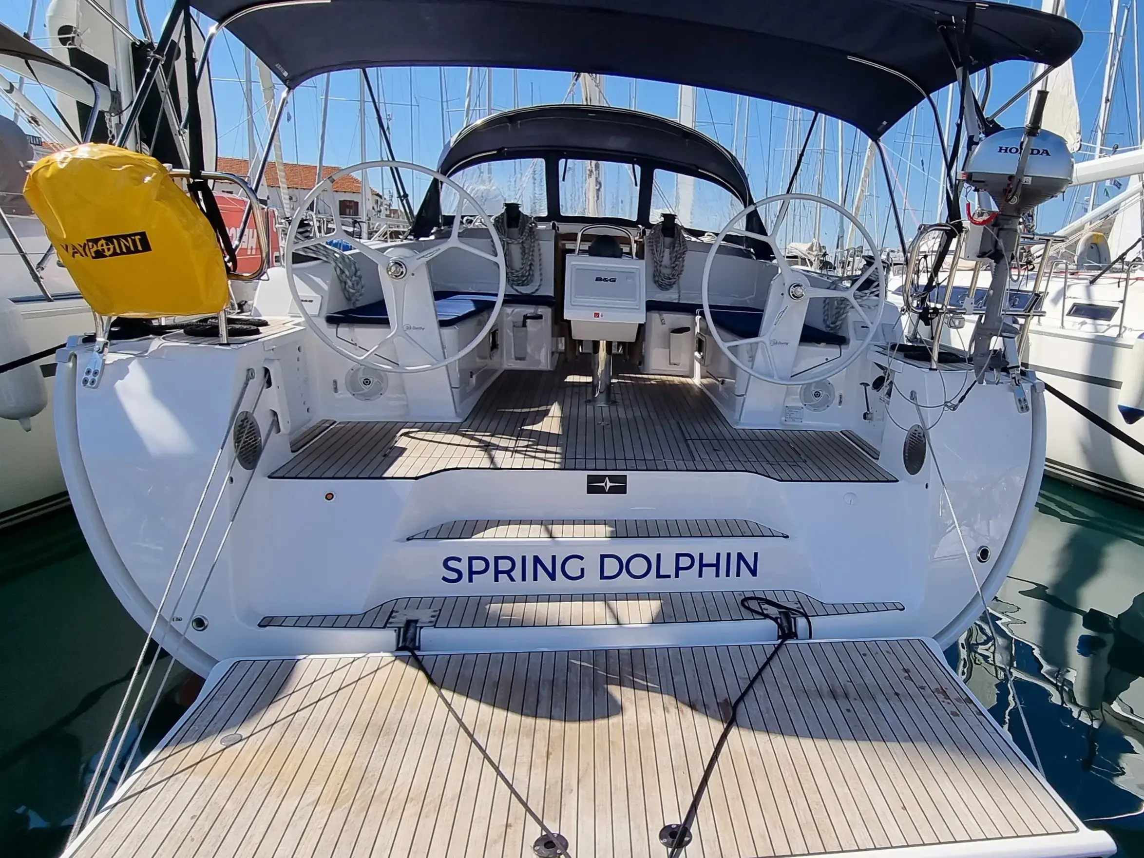 Spring Dolphin photo 1
