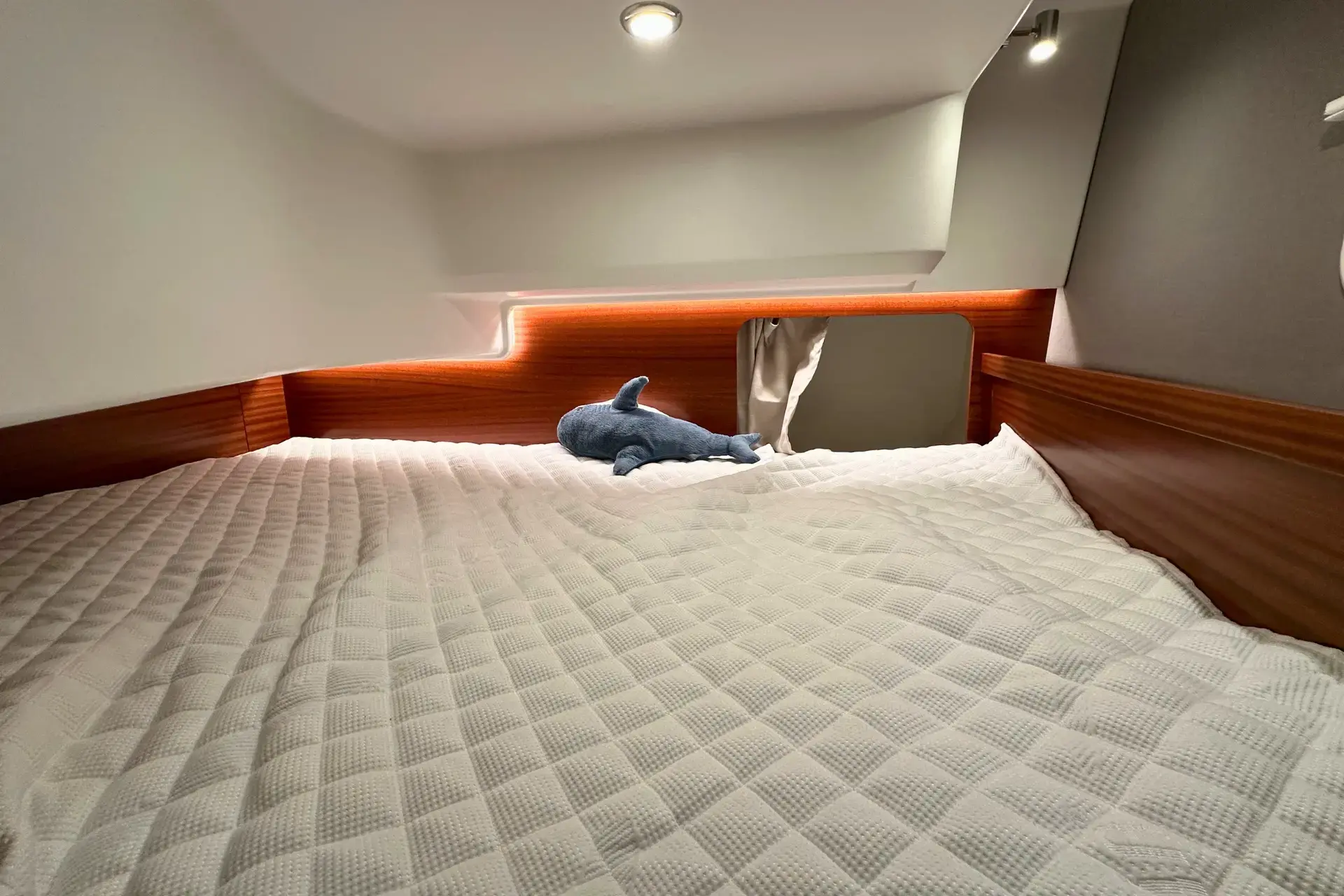 DALMATIA thumbnail 28