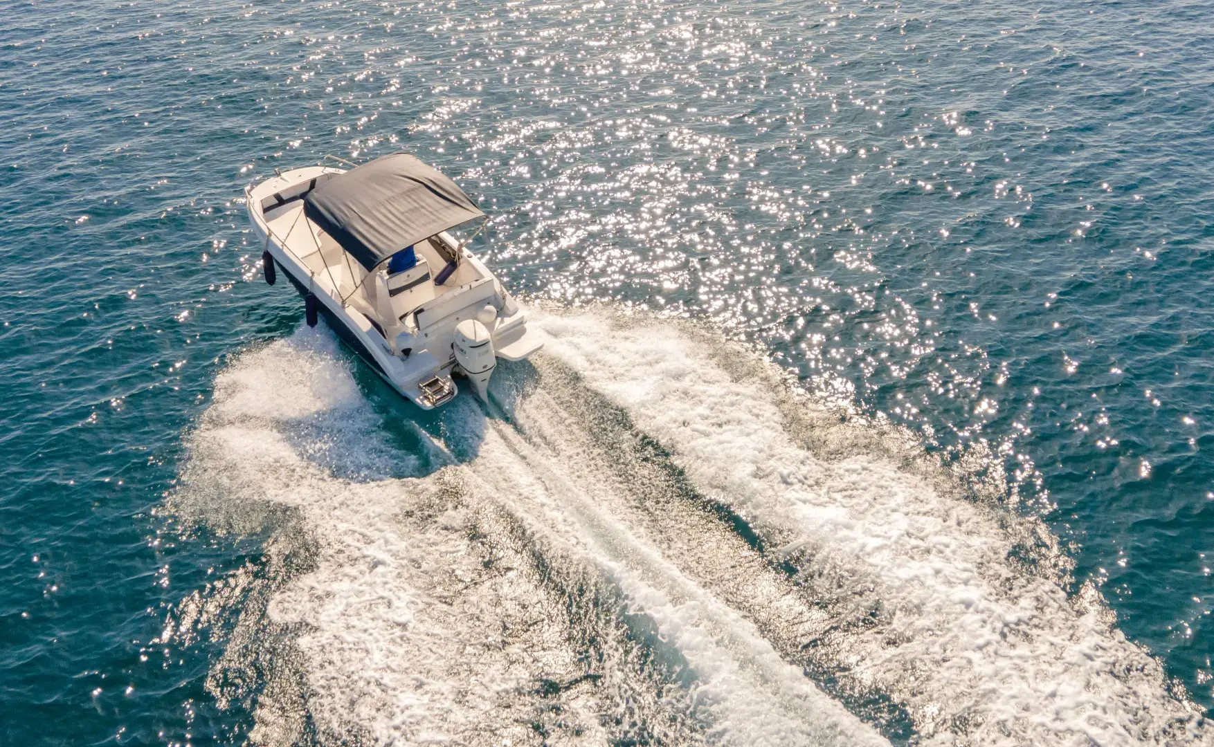 Andromeda thumbnail 4