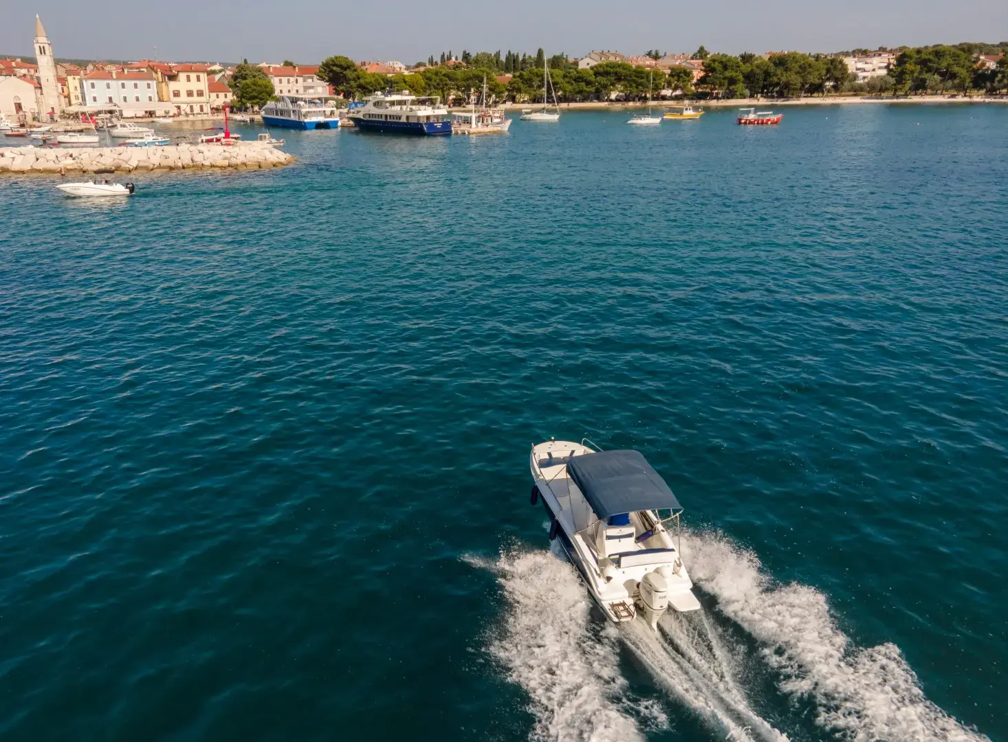 Andromeda thumbnail 8