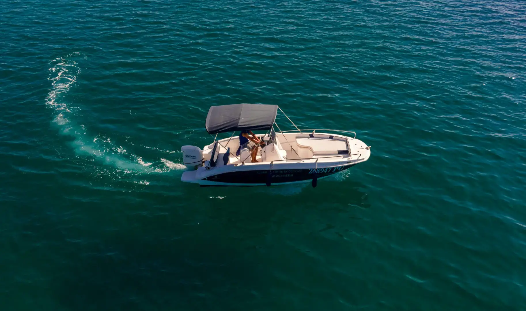 Andromeda thumbnail 12